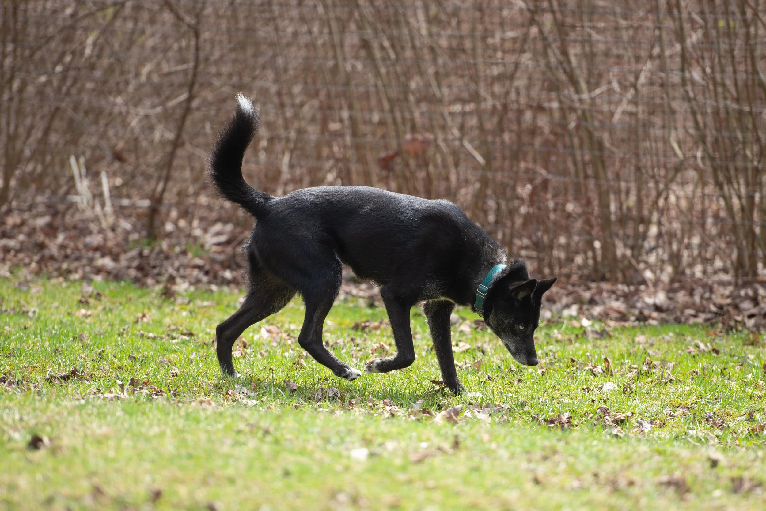 DSC_8343.jpg