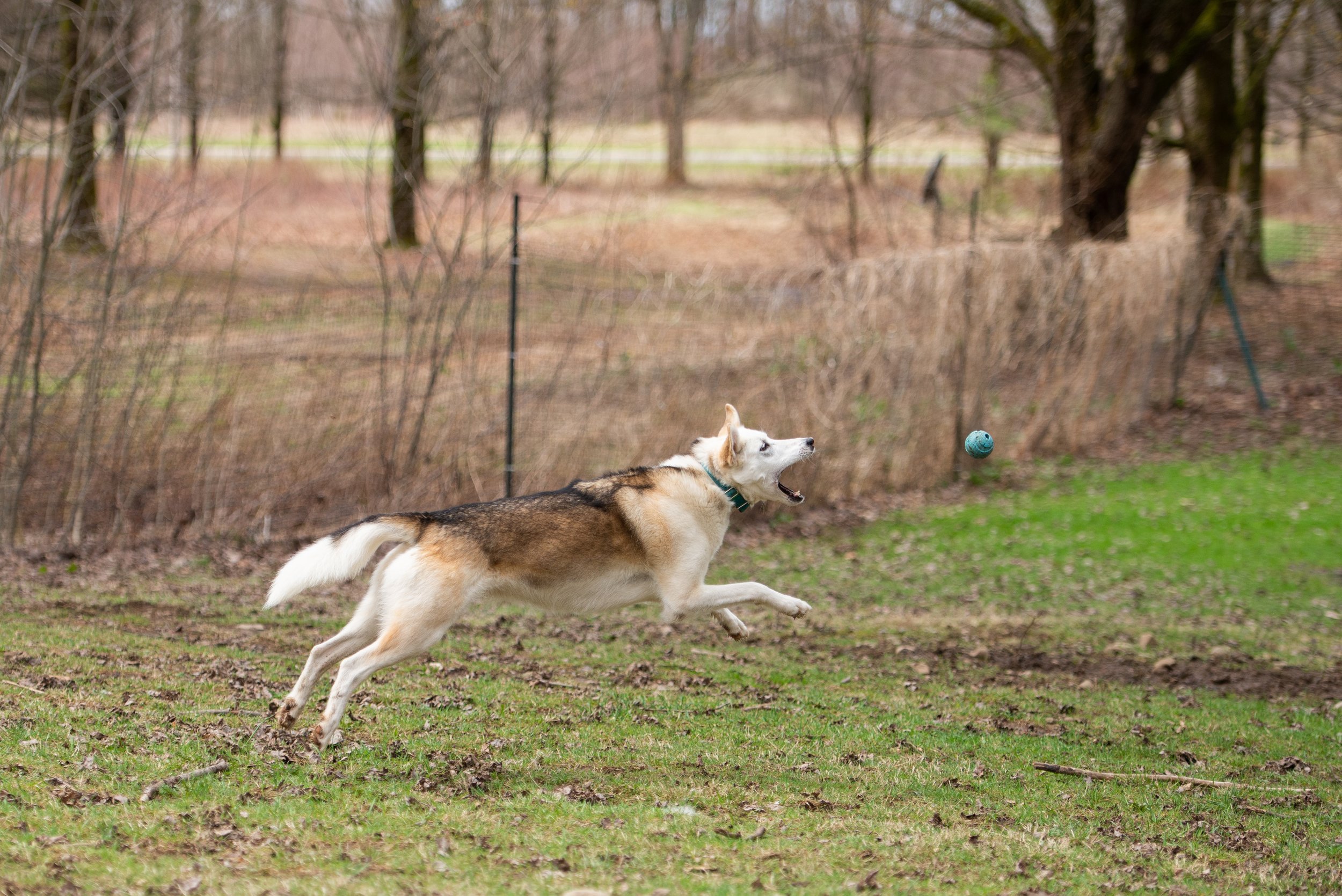 DSC_8419.jpg