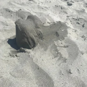 sand2.jpg