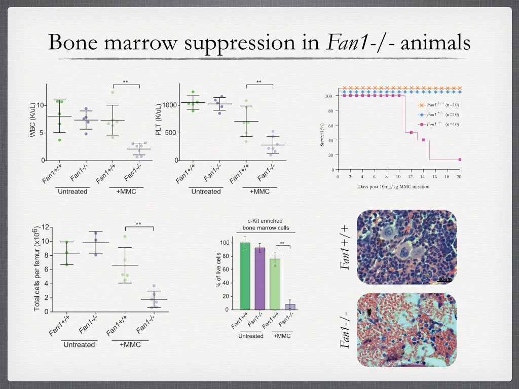 slides for website.001.jpg