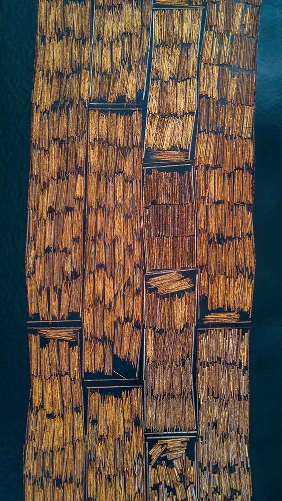 Photo of Floating Bamboo by Lennart Heim on Unsplash