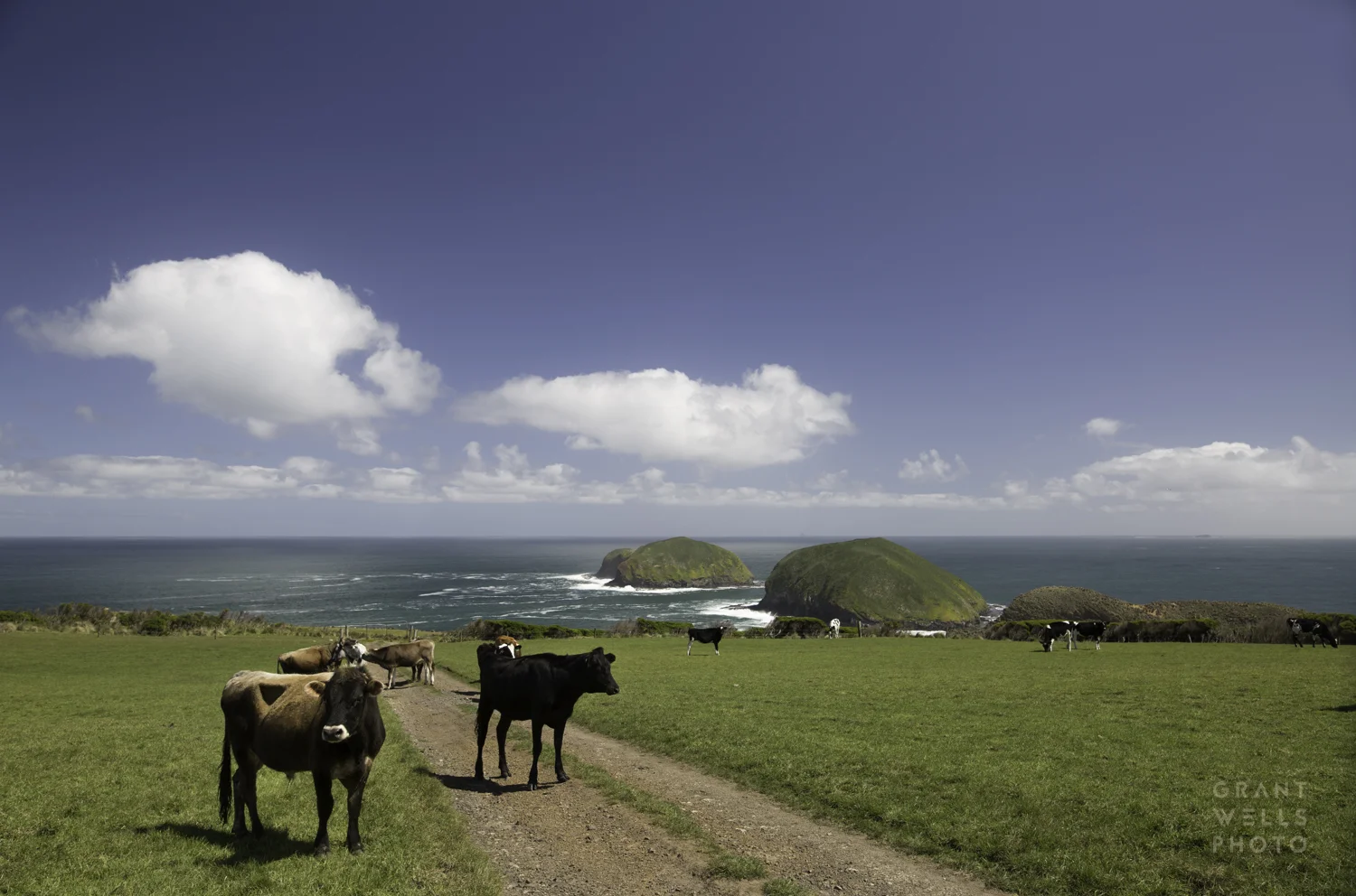 woolnorth-5461-2-Edit.jpg
