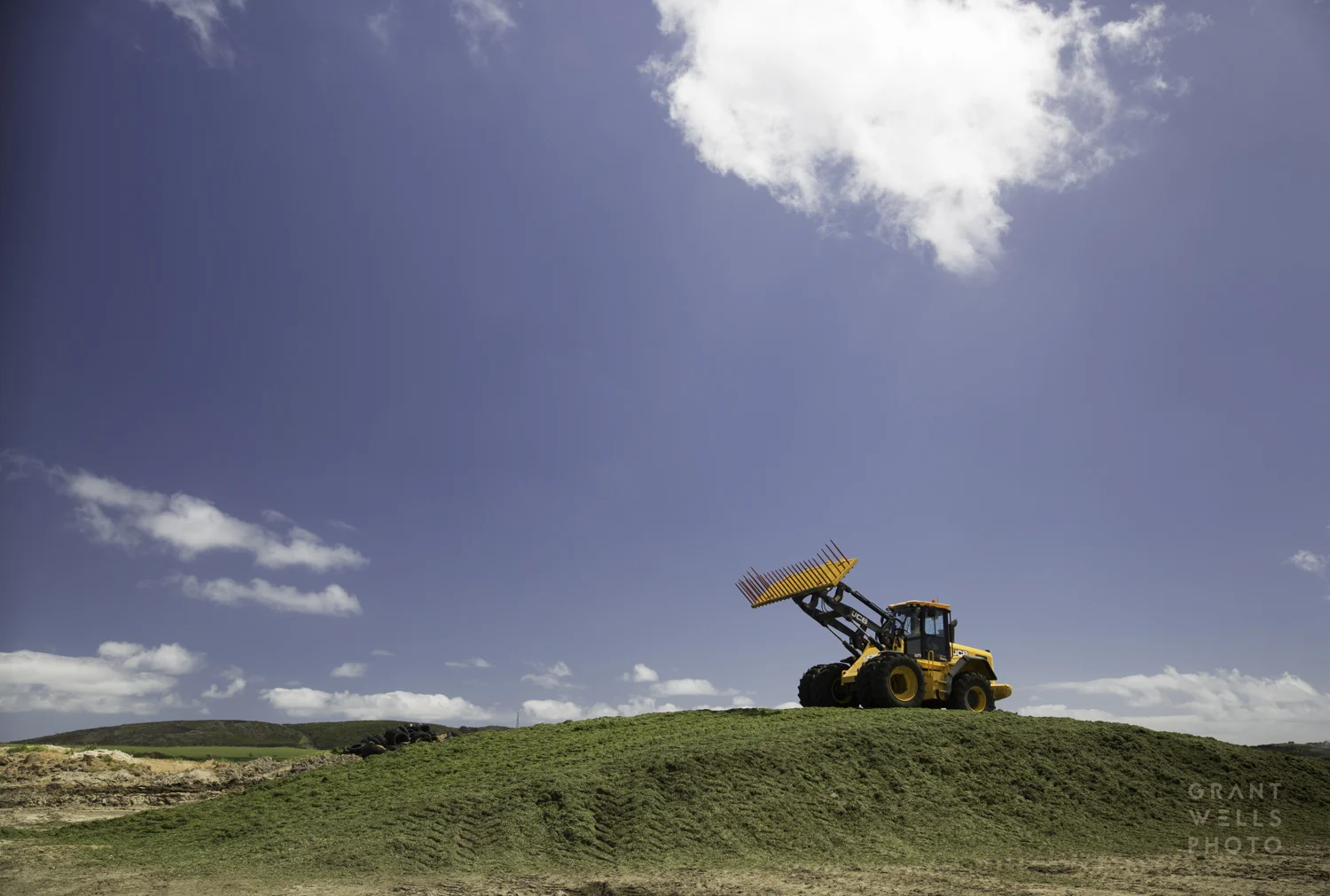 woolnorth-5495-2.jpg