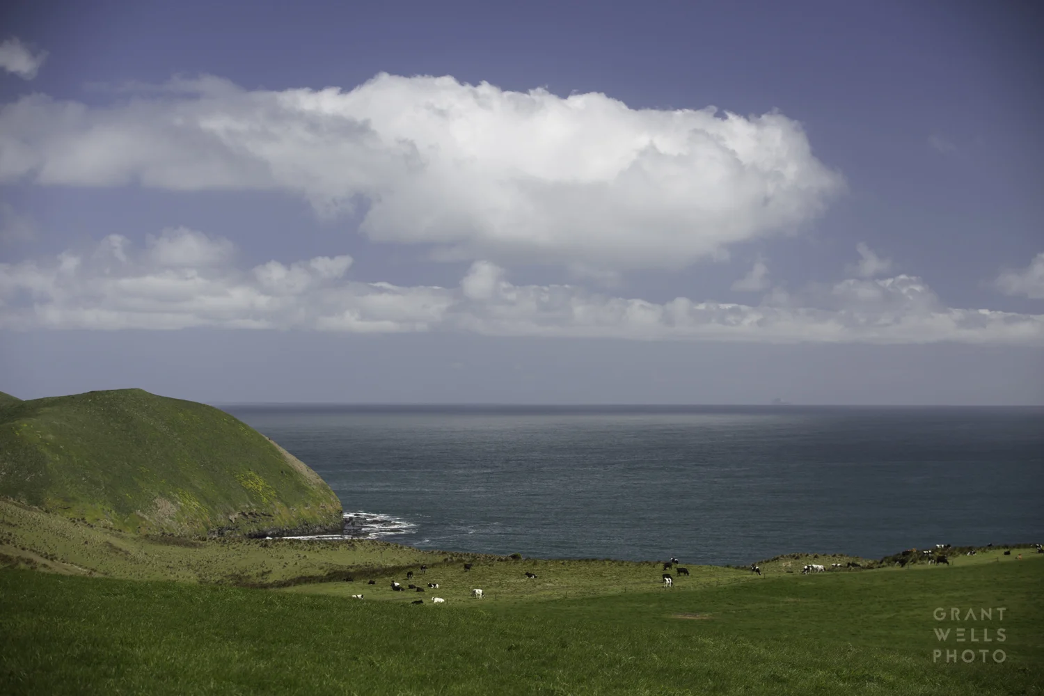 woolnorth-5499.jpg