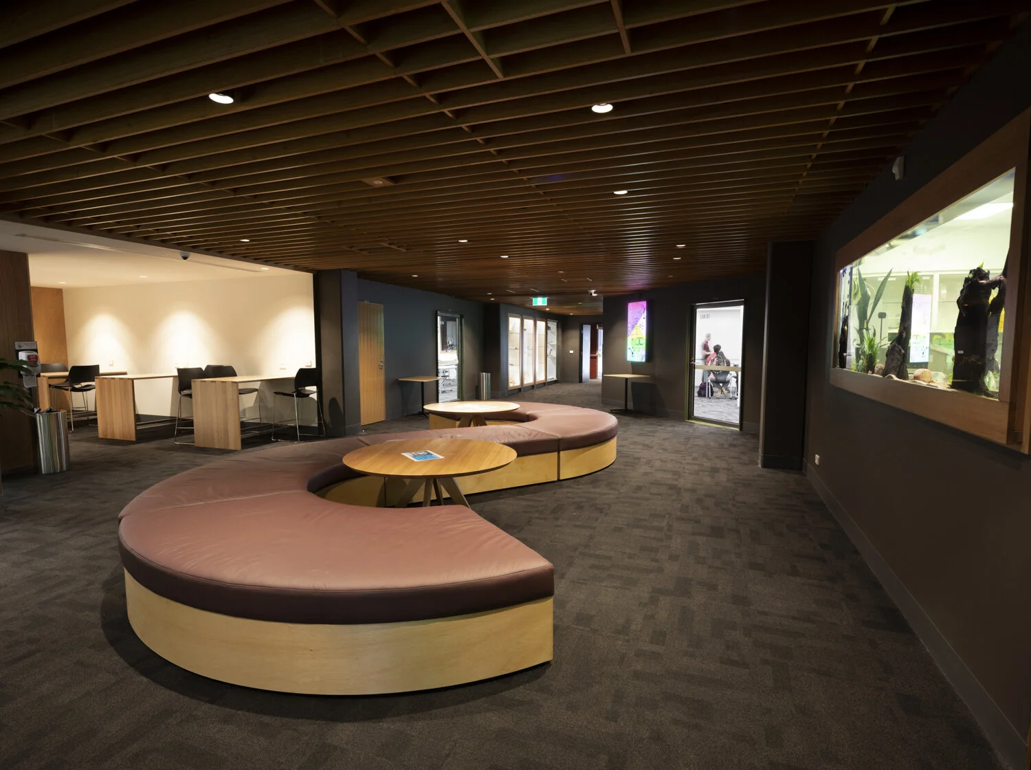 Hellyer science-4246-Pano-Edit.jpg