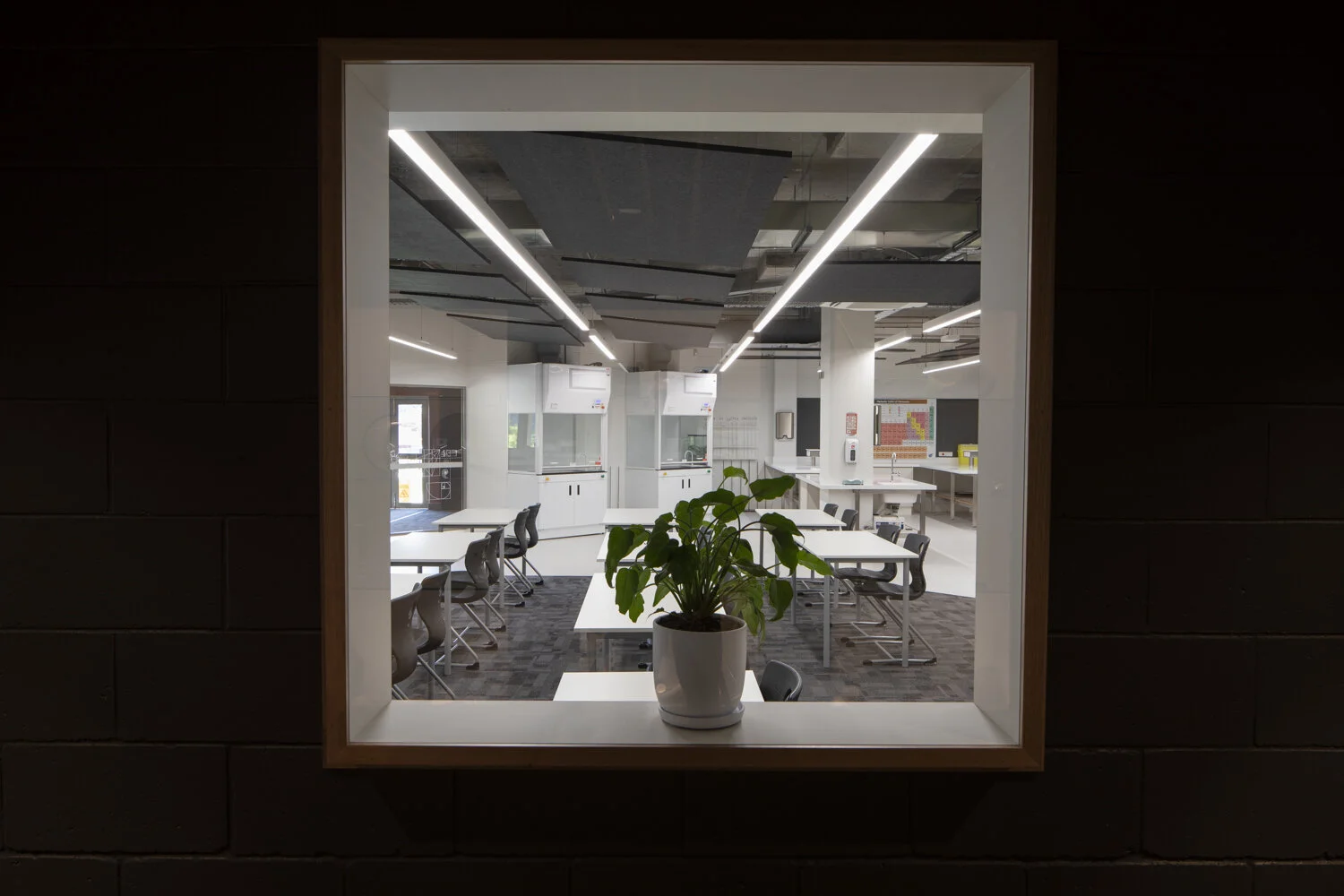 Science redevelopment-4079.jpg