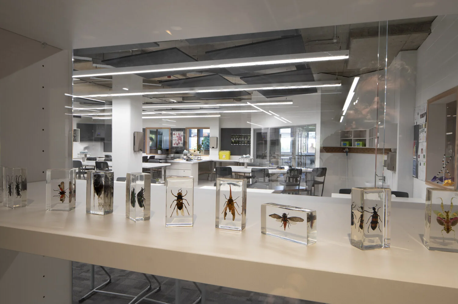 Science redevelopment-4080-Edit.jpg