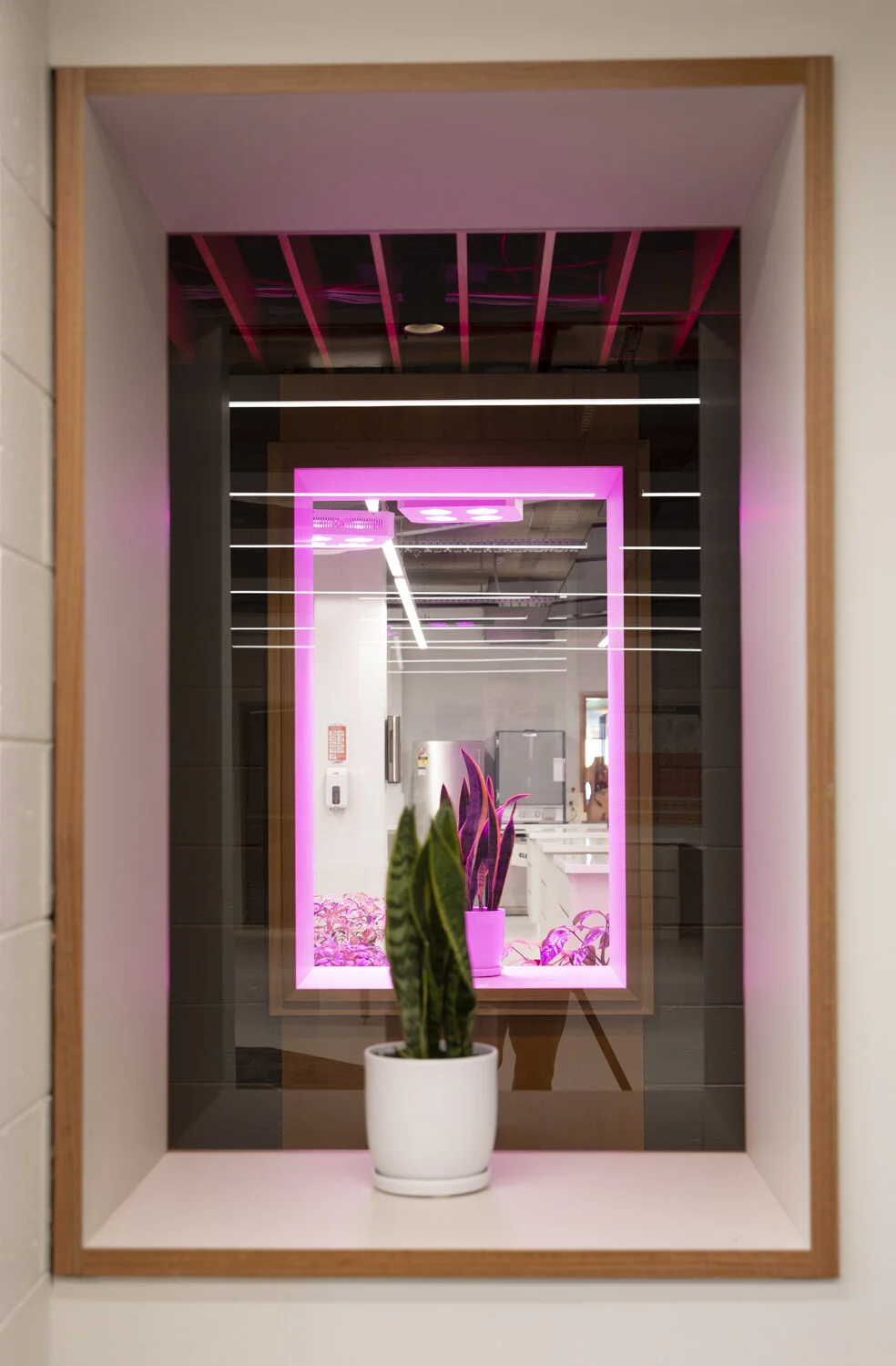 Science redevelopment-4174.jpg