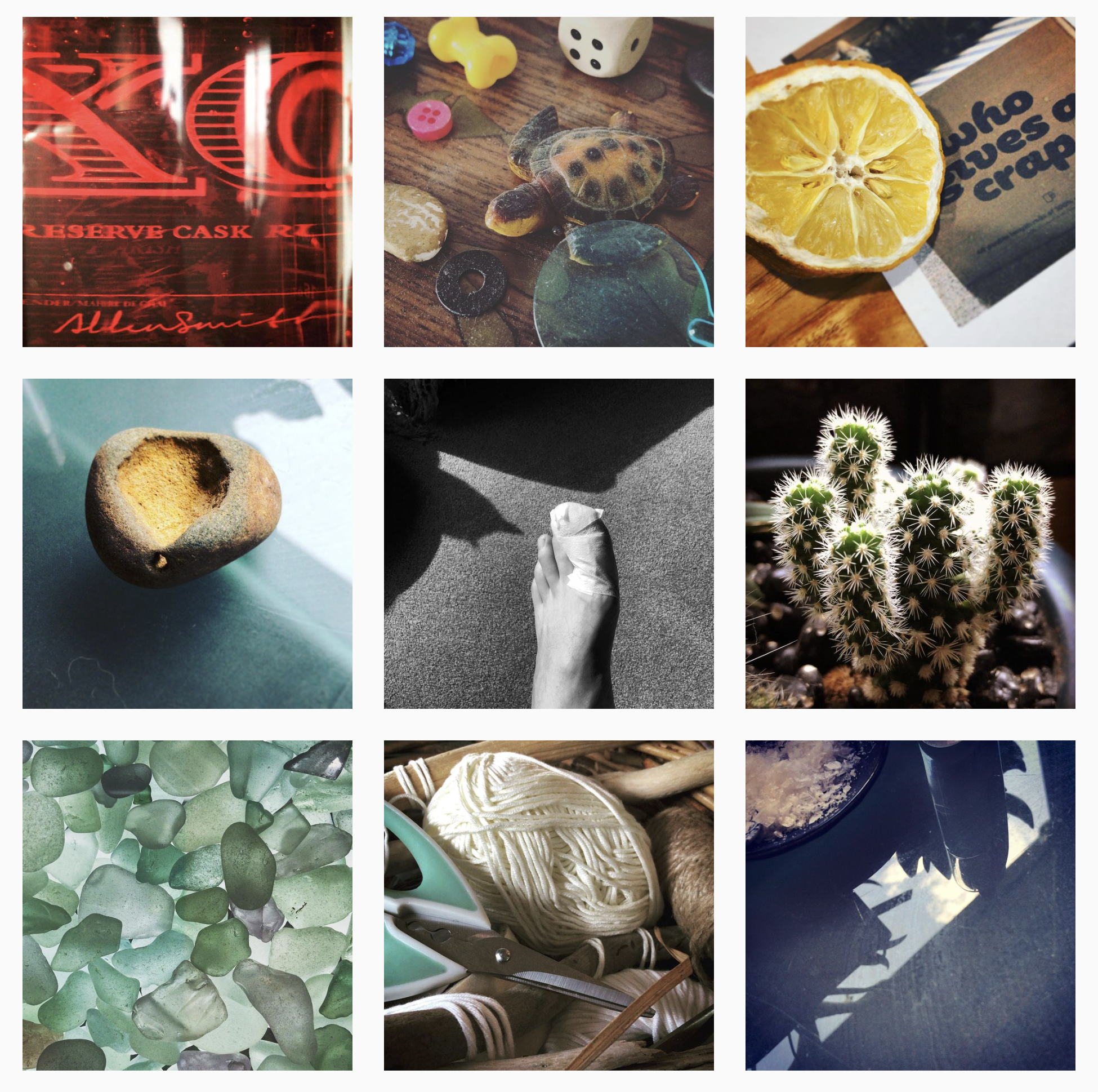 Ducks, dogs and Australia Day