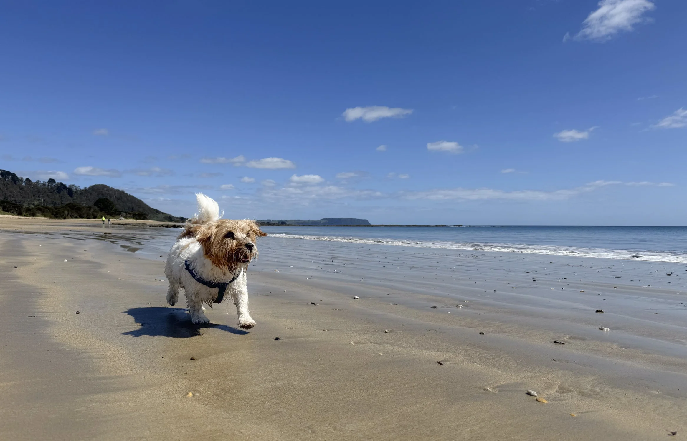 You win some...learn from the rest