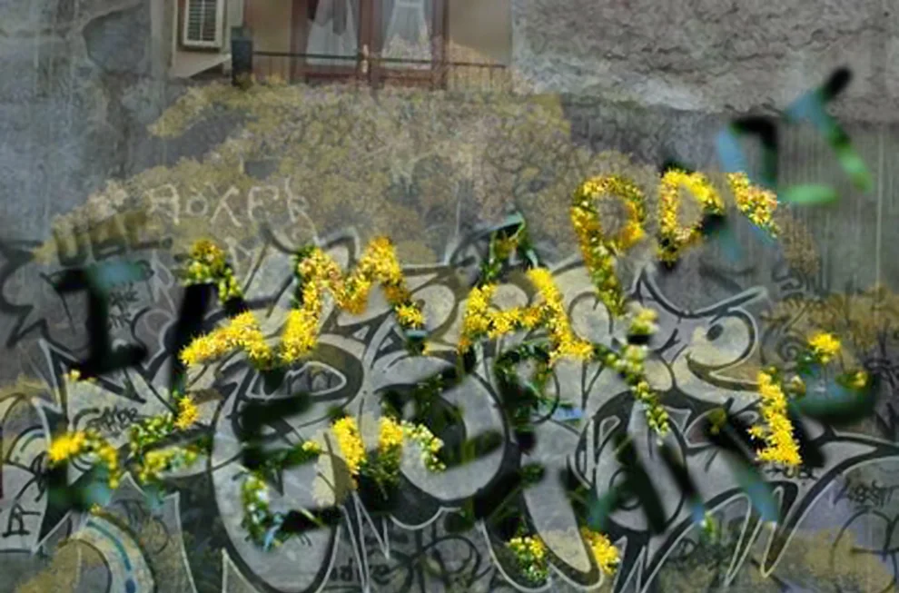 BriPruett_wDigital_Part of Everything_2012_digital collage.jpg
