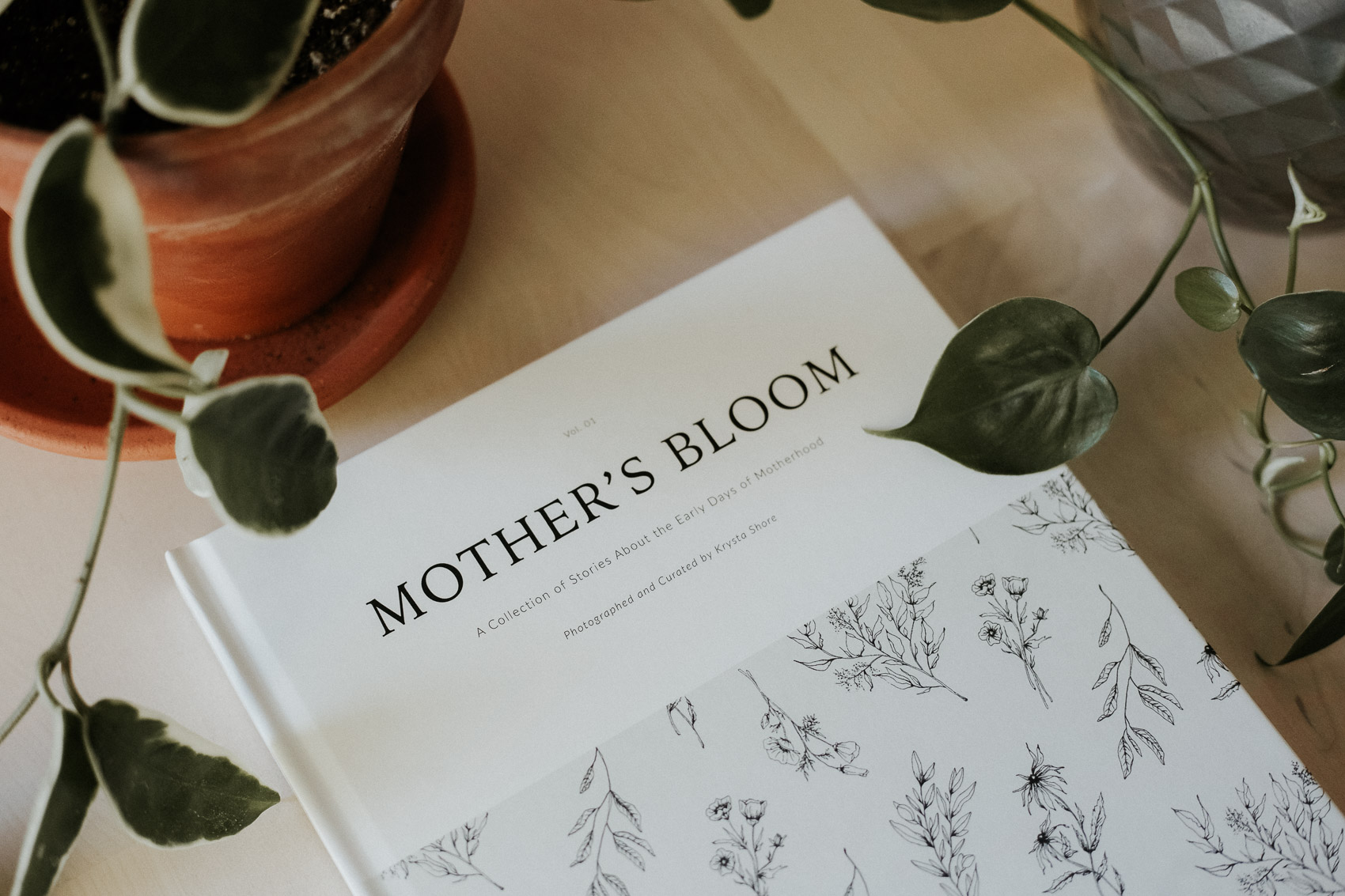 MothersBloomPromo-wr-7.jpg