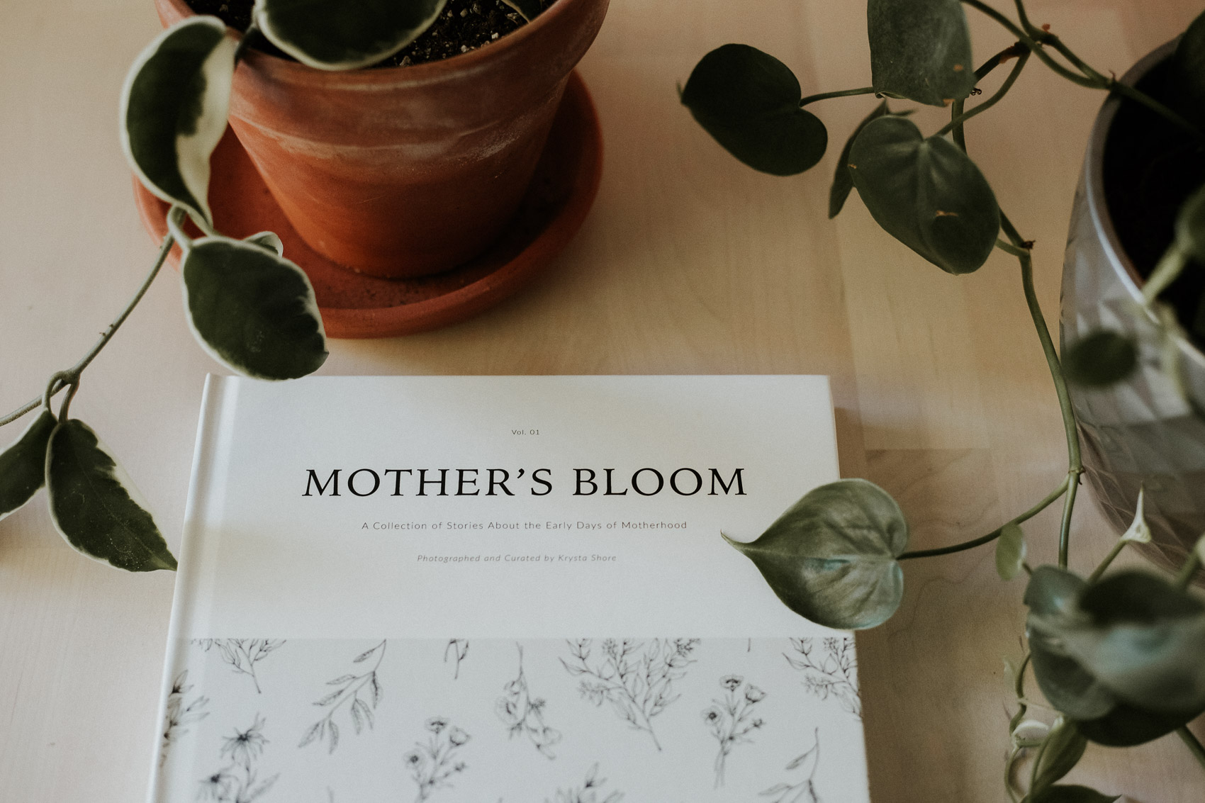 MothersBloomPromo-wr-6.jpg