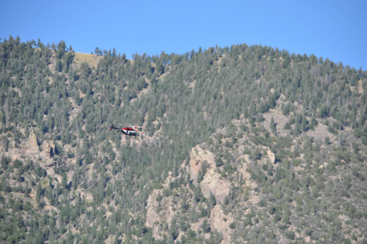 BLE-2015-078.jpg