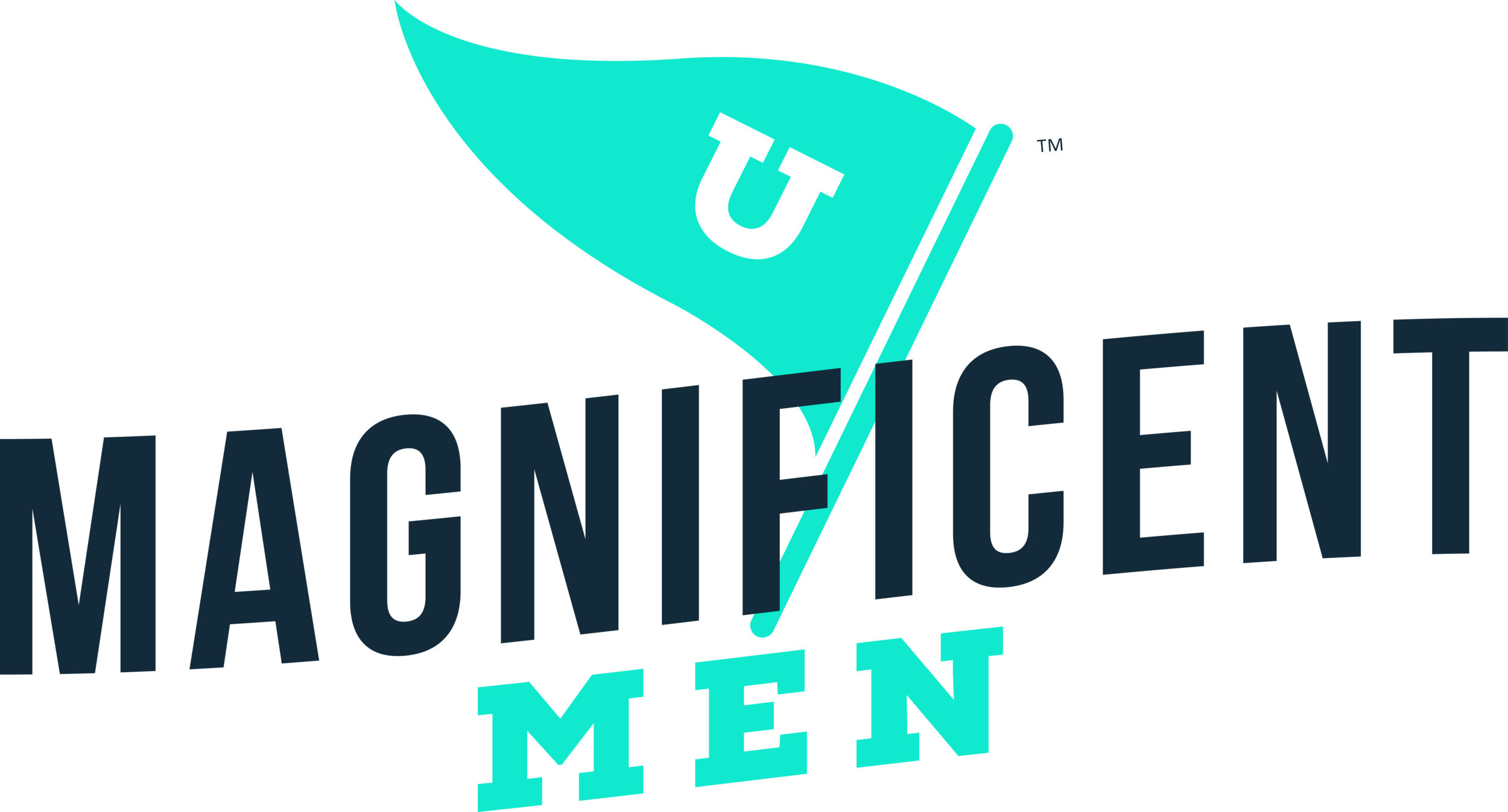 Magnificent Men