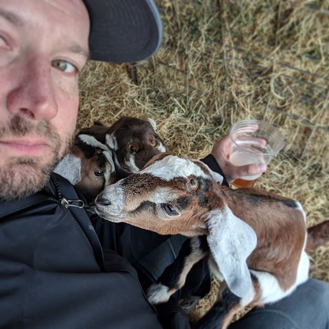 That time when I drank beer with baby goats.