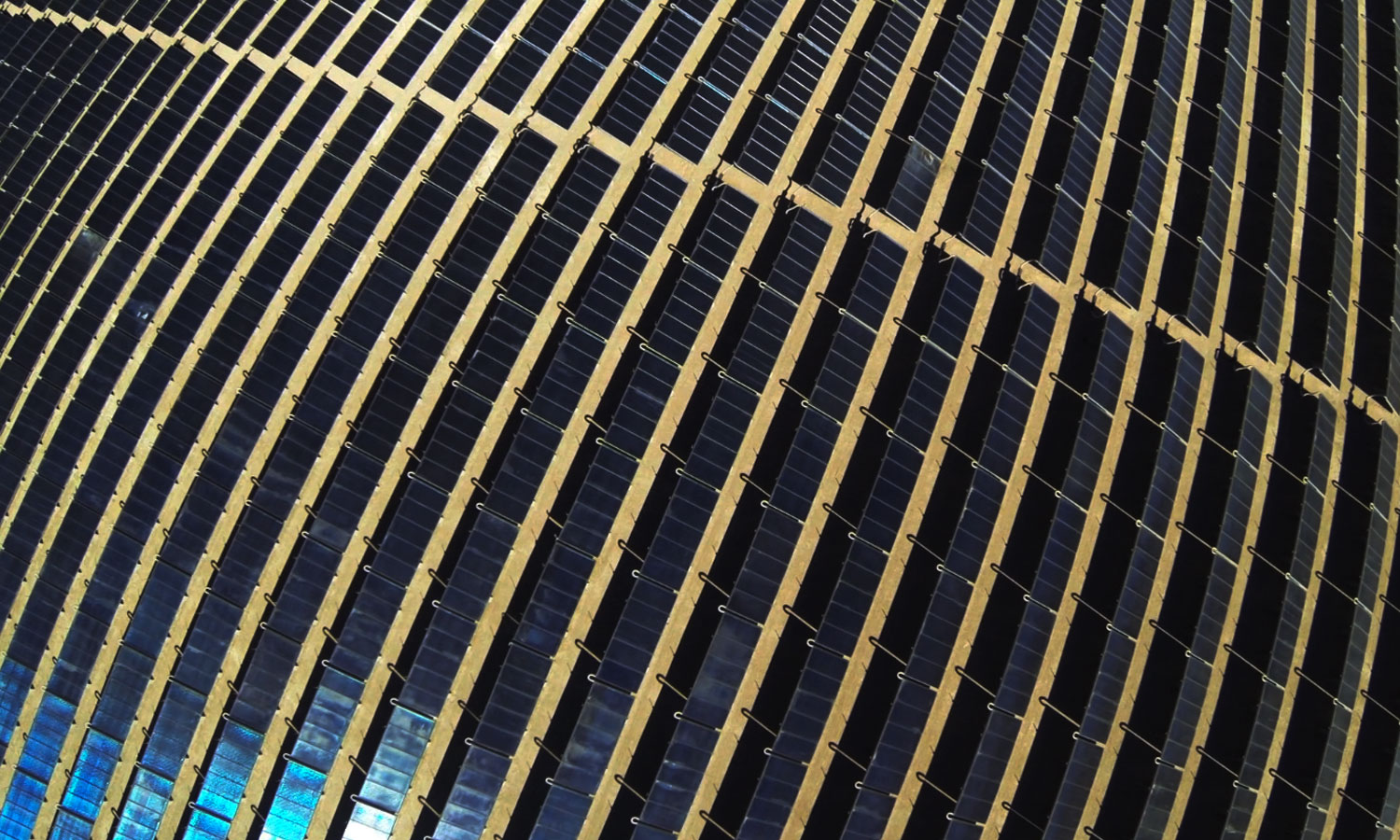 BANNER-1.jpg