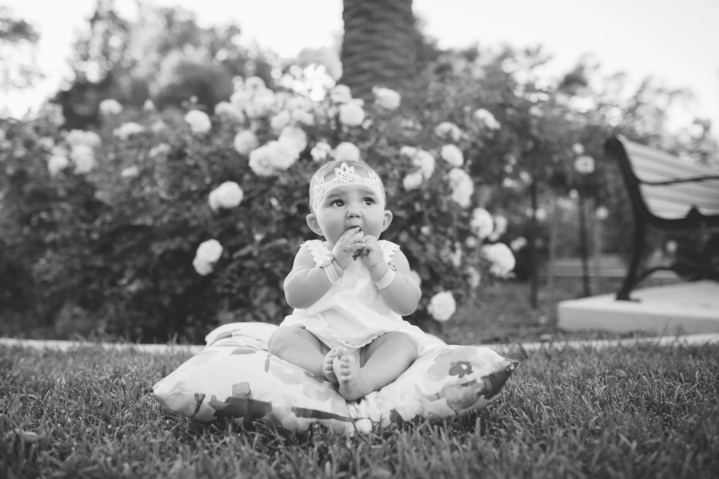 Isabelle-6-months-0210.jpg