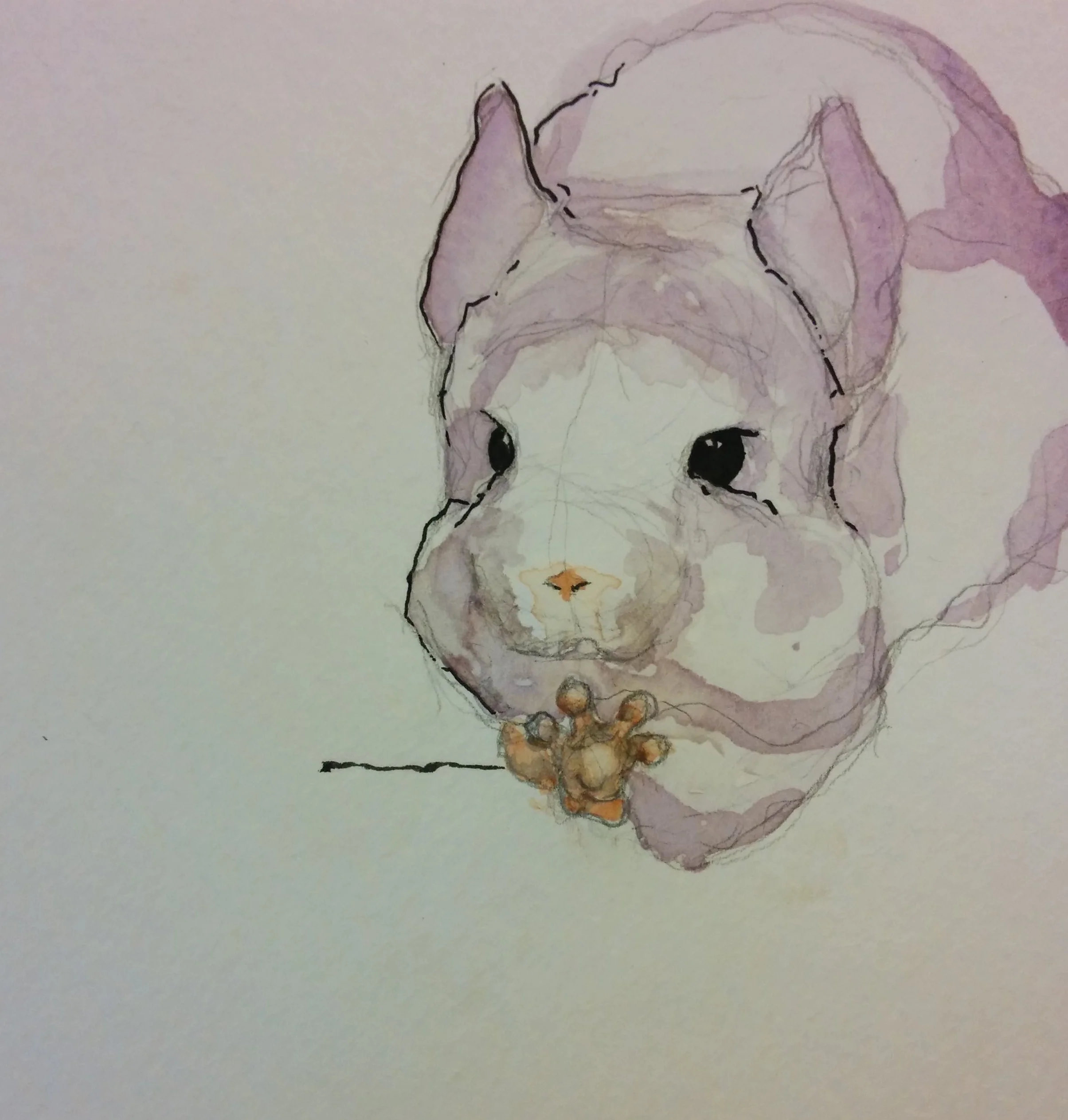 "Chinchilla"