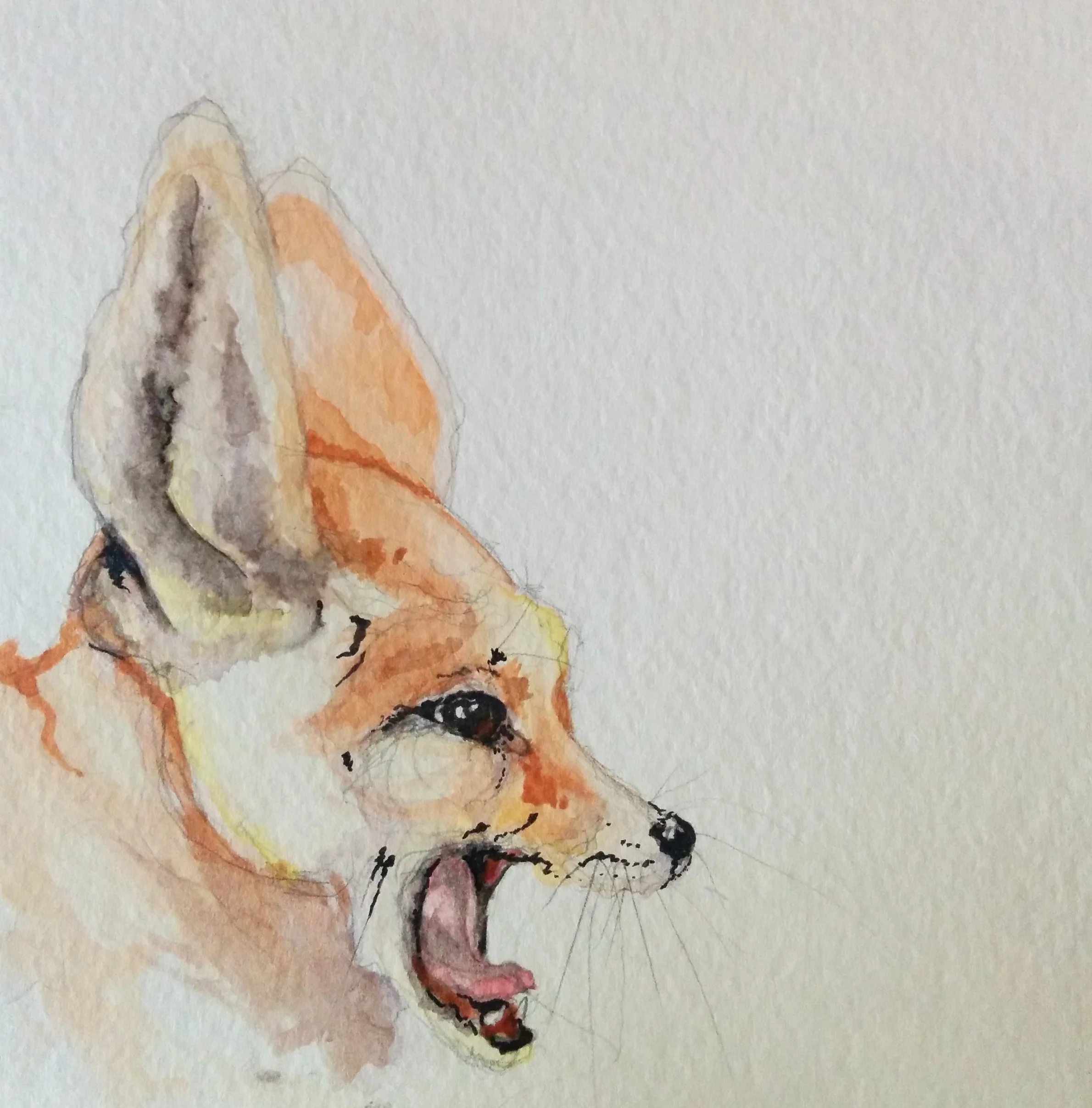 "Fennec"