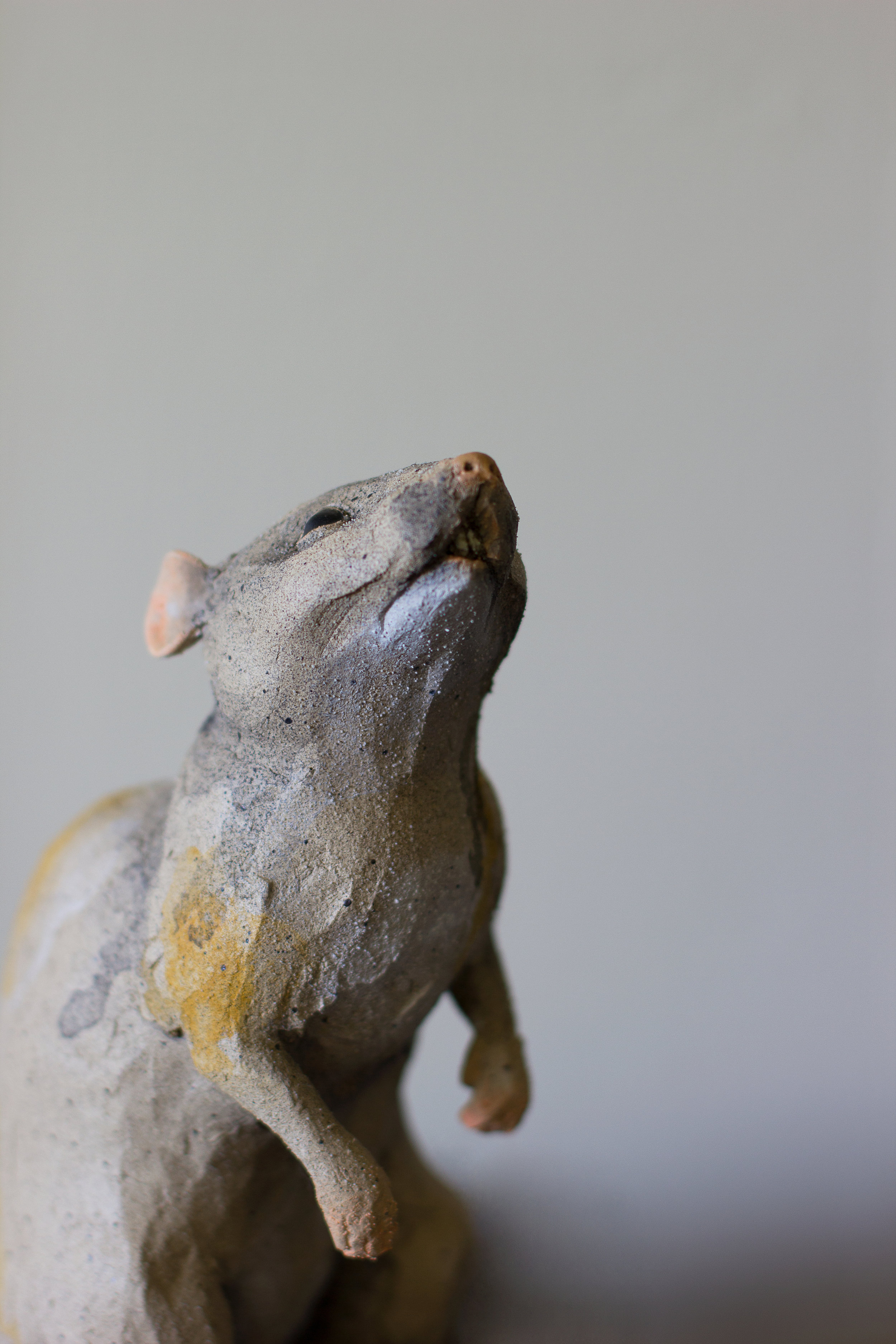 "Rat" Detail