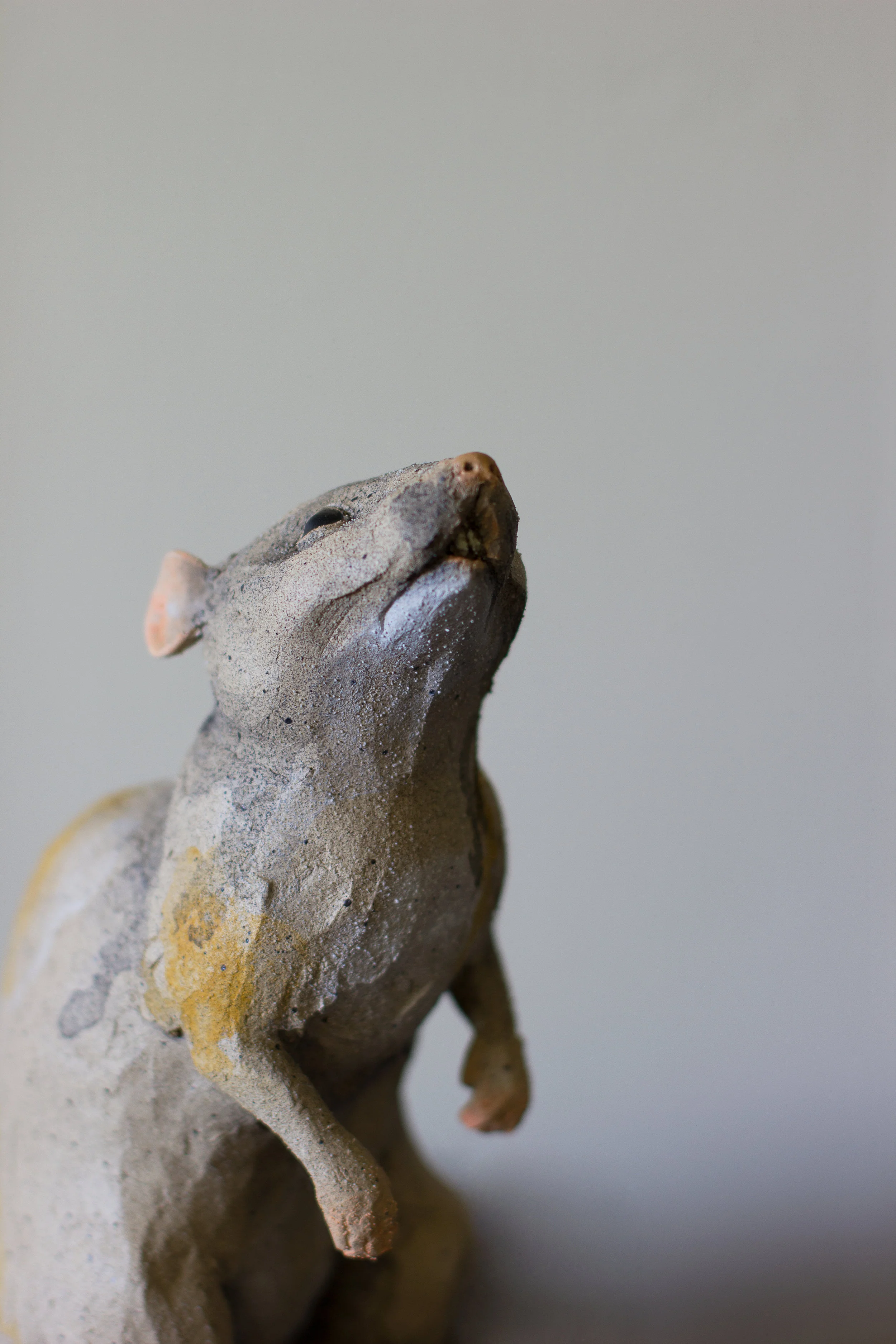 "Rat" Detail
