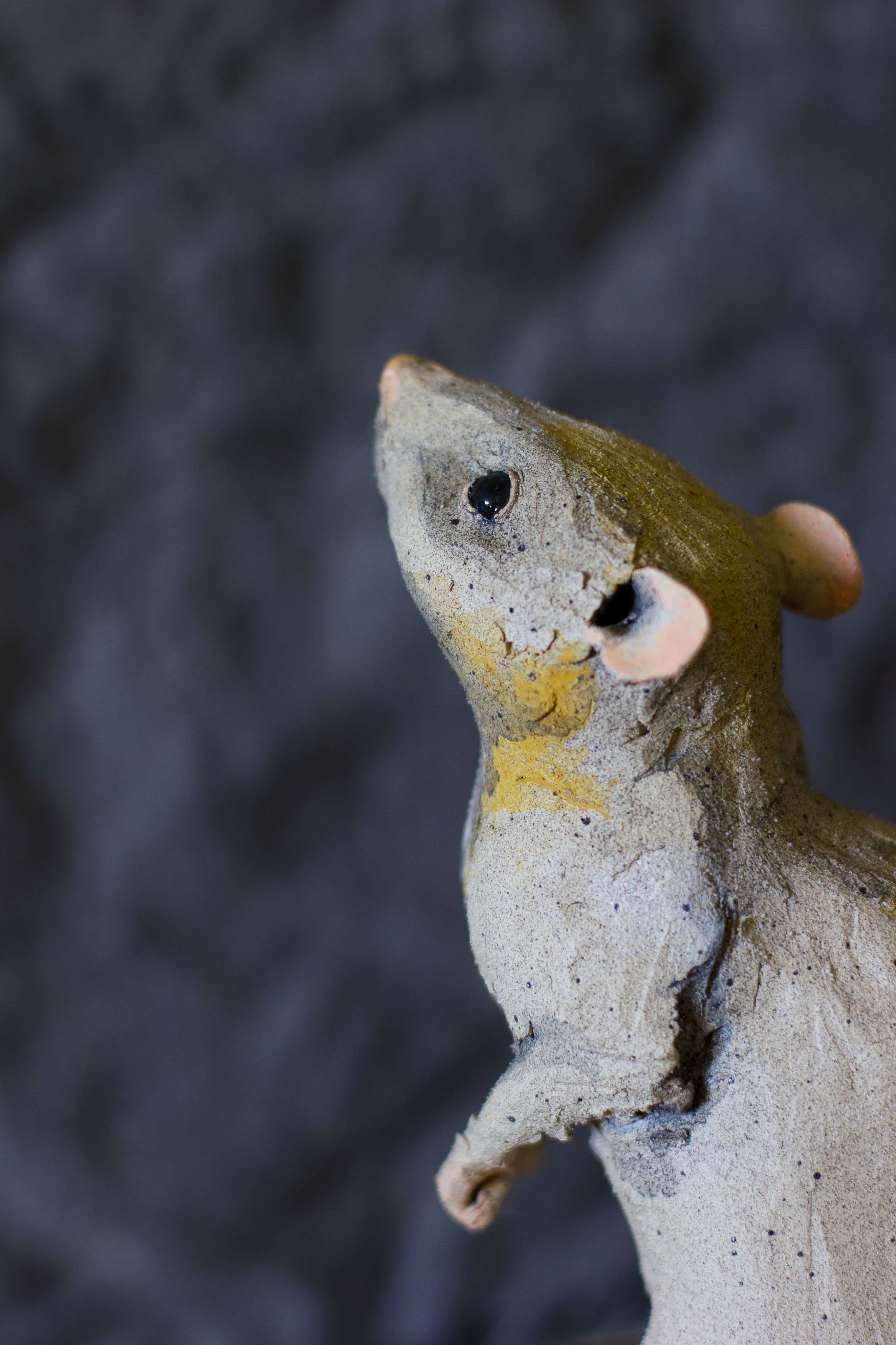 "Rat" Detail