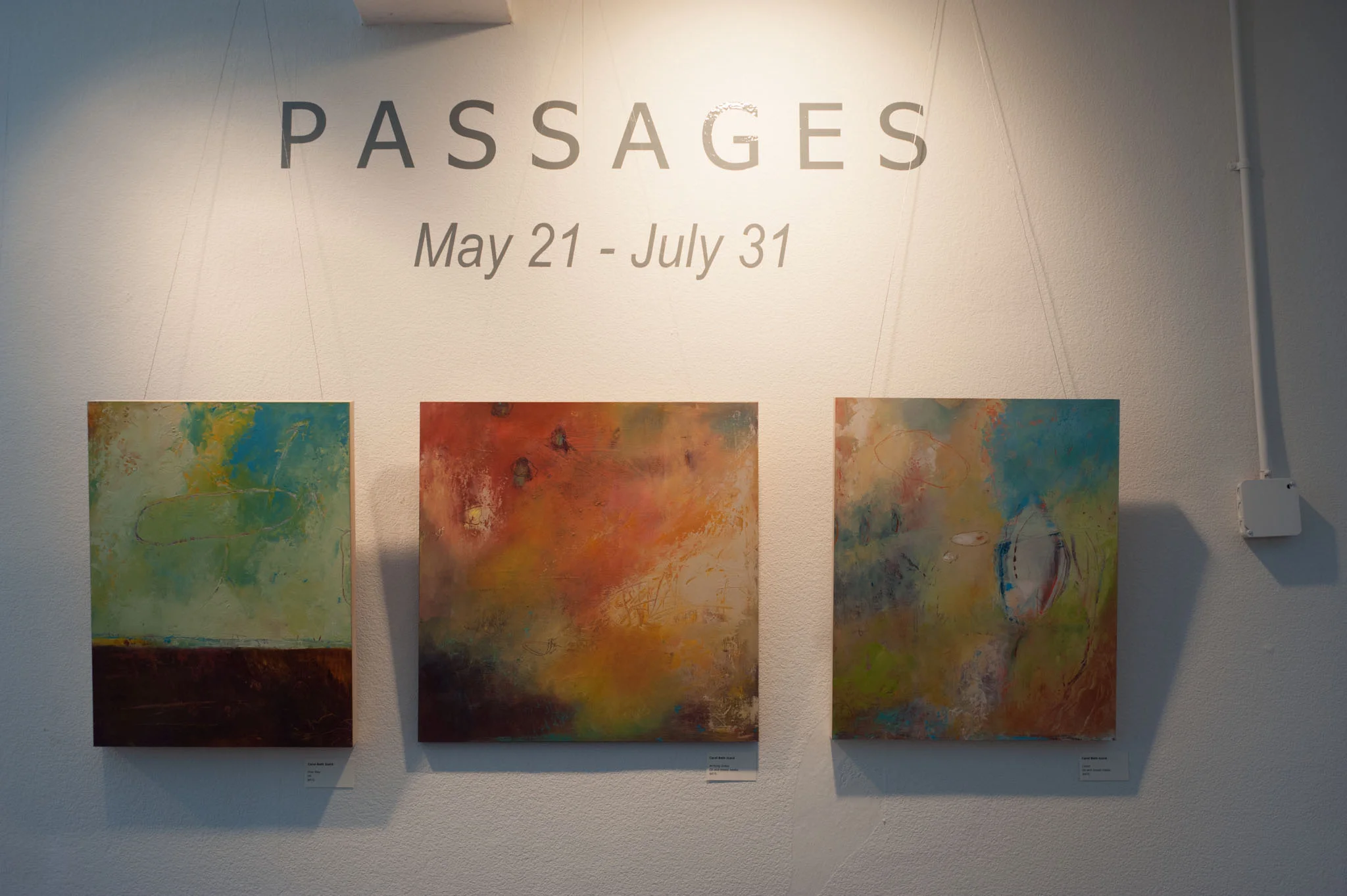 SFR Passages Show_03.jpg