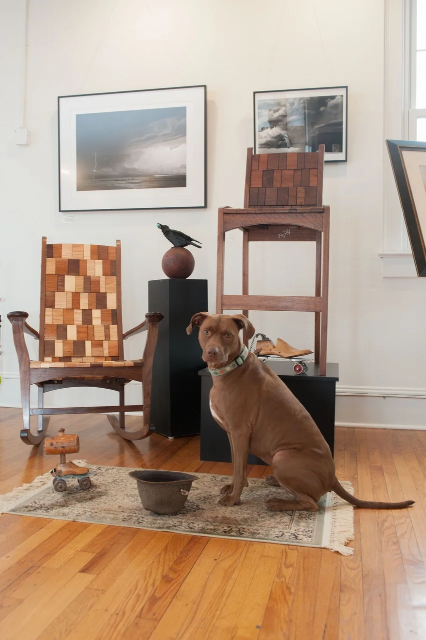 Brown Dog.jpeg