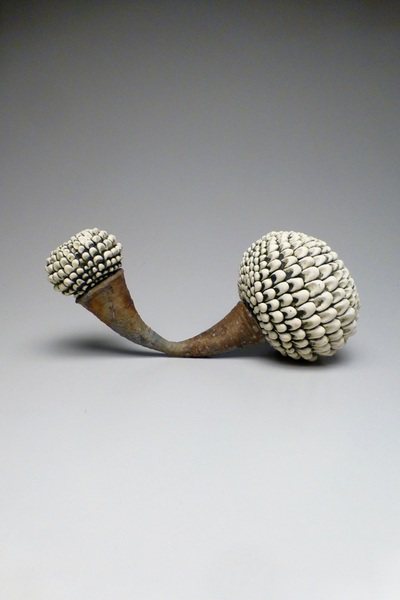 image1.jpeg