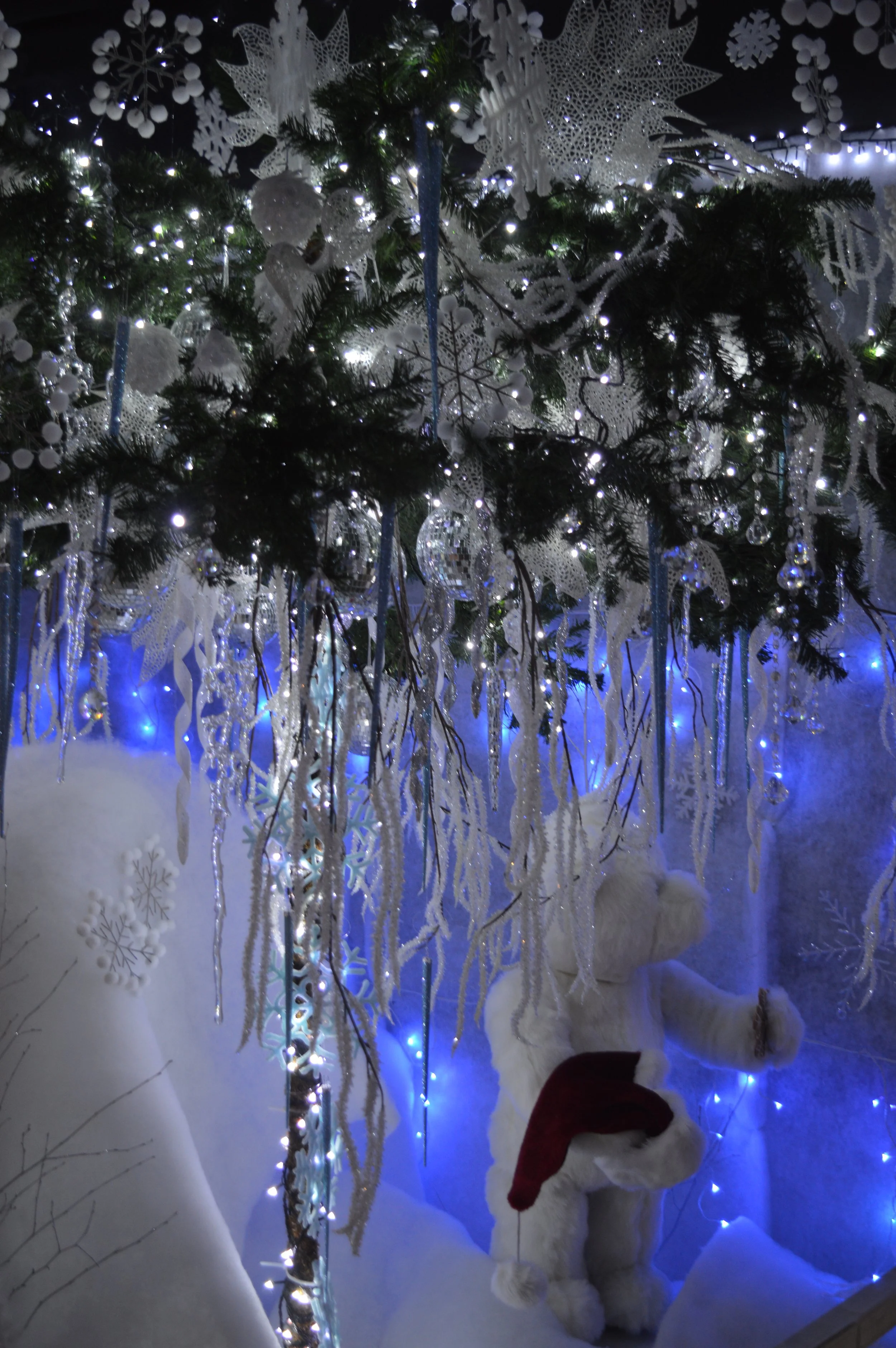 Copy of DSC_1043.jpg