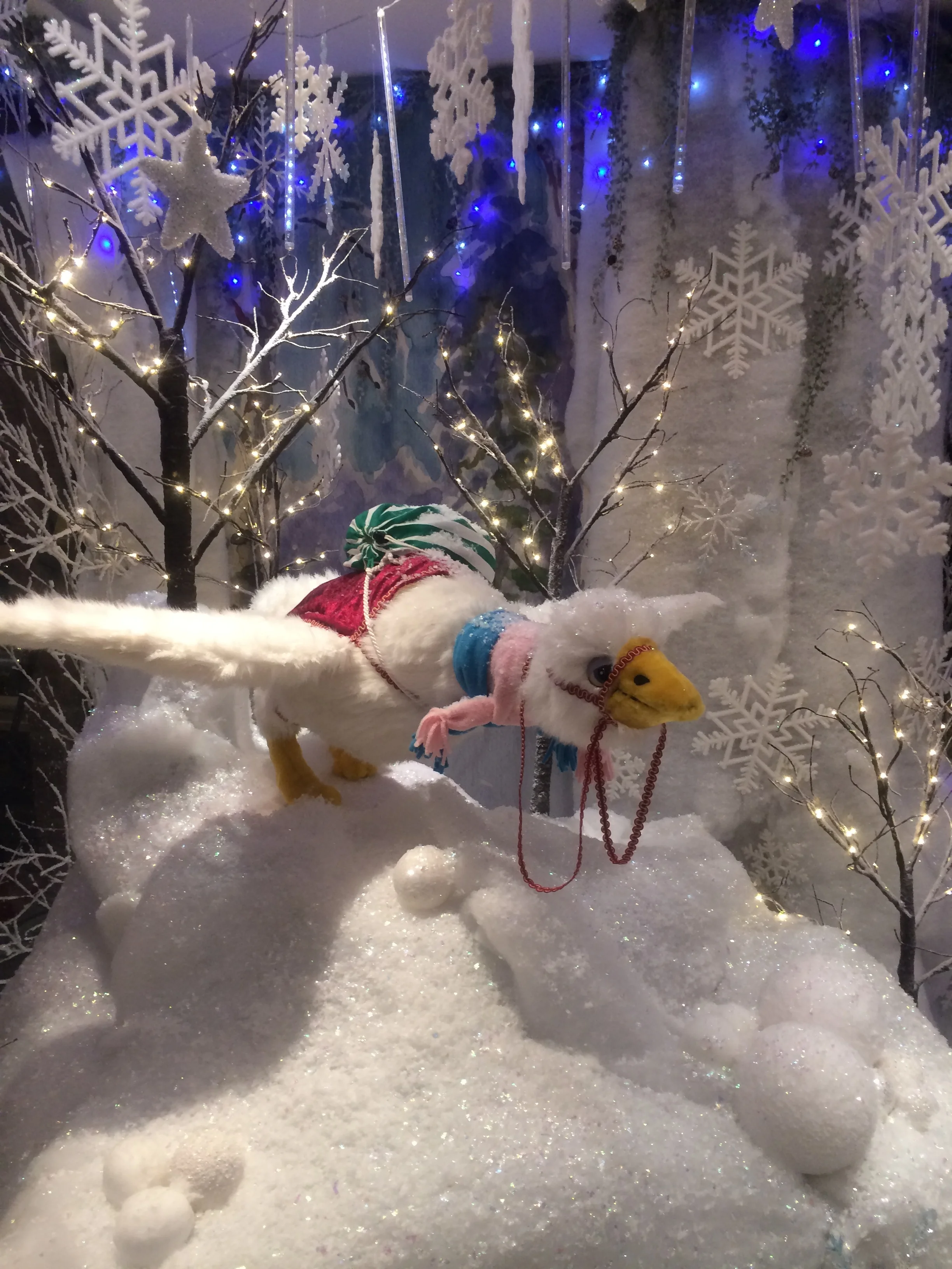 Copy of IMG_0101.JPG