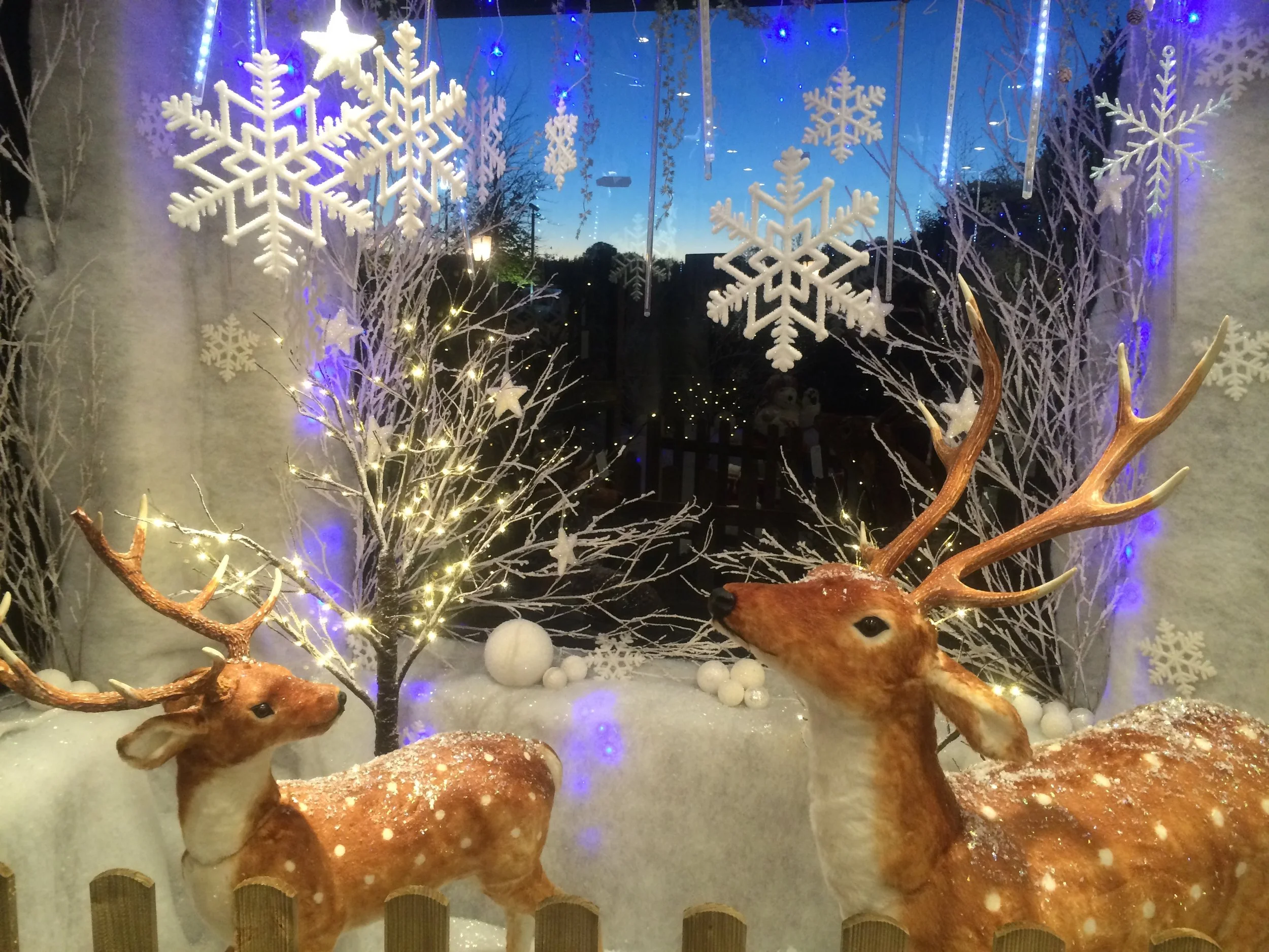 Copy of IMG_0107.JPG