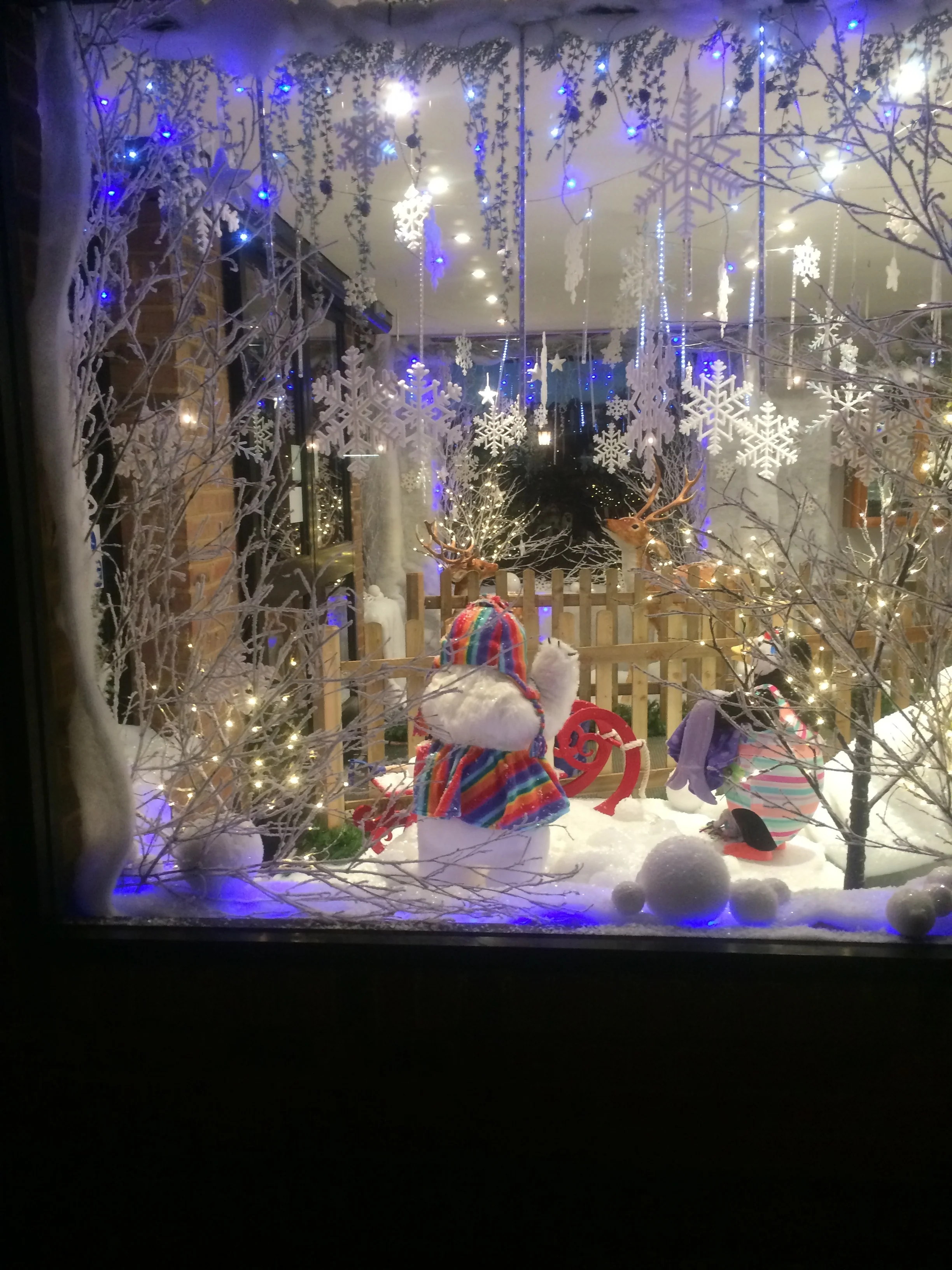 Copy of IMG_0109.JPG