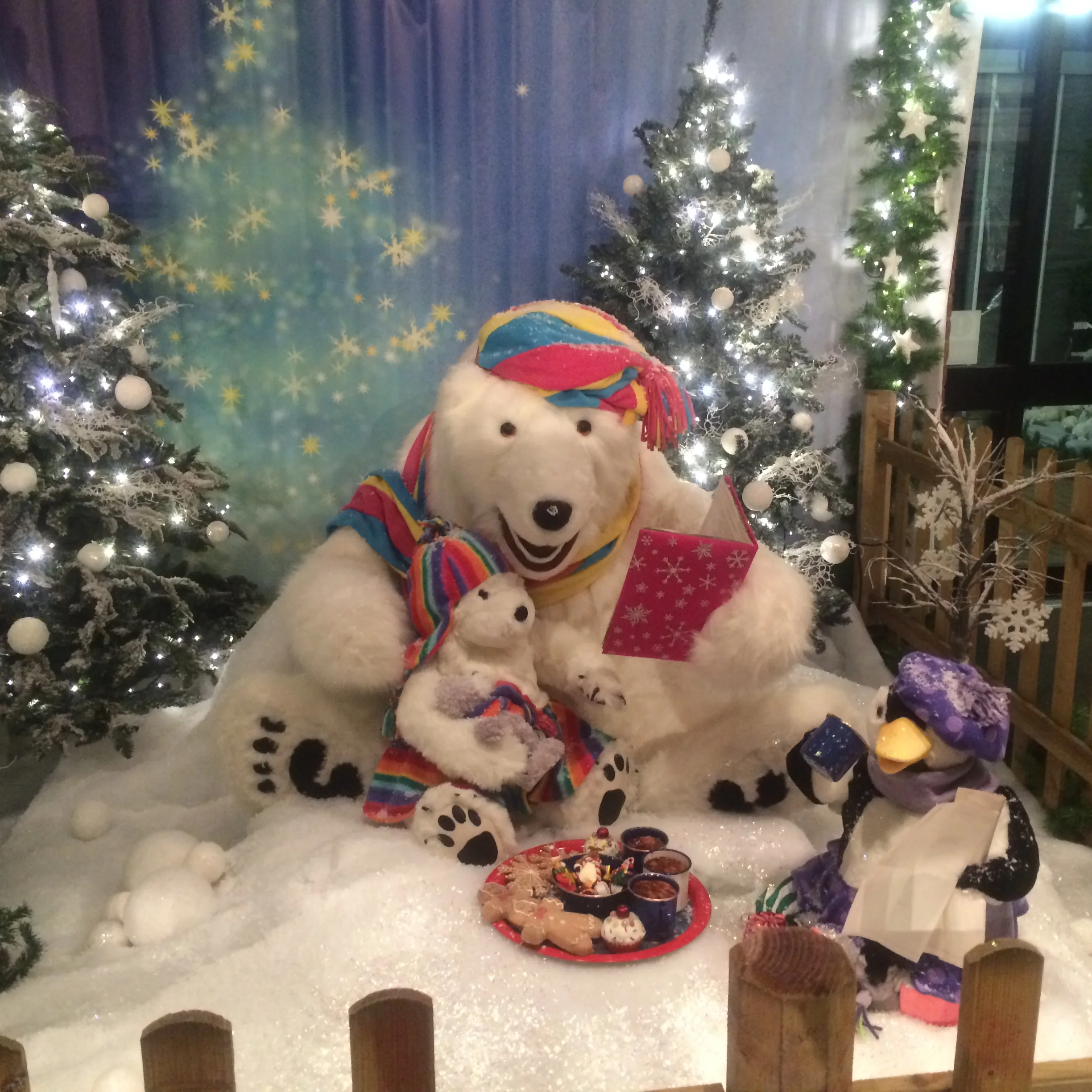 Copy of IMG_0114.JPG