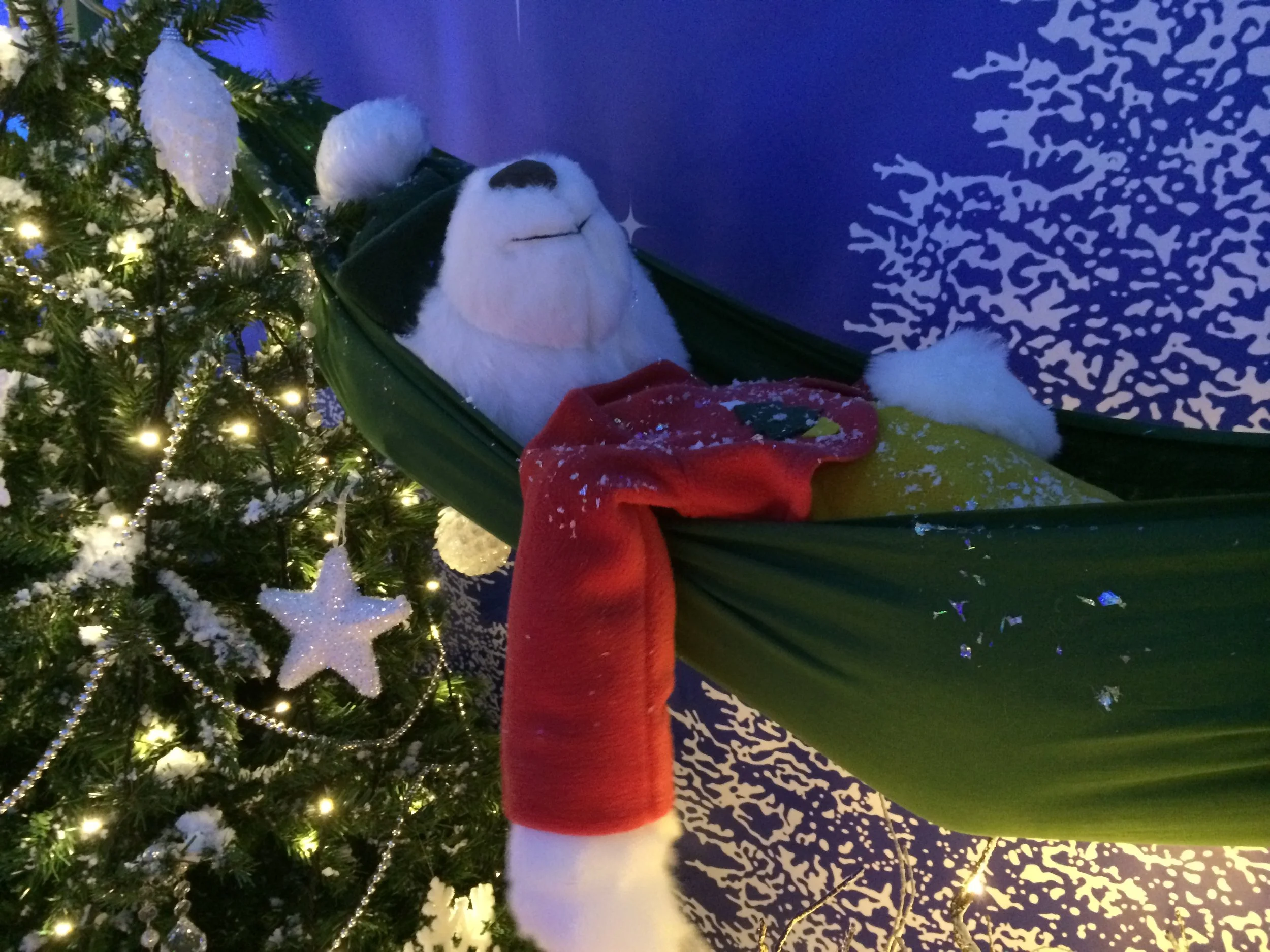 Copy of IMG_0231.JPG