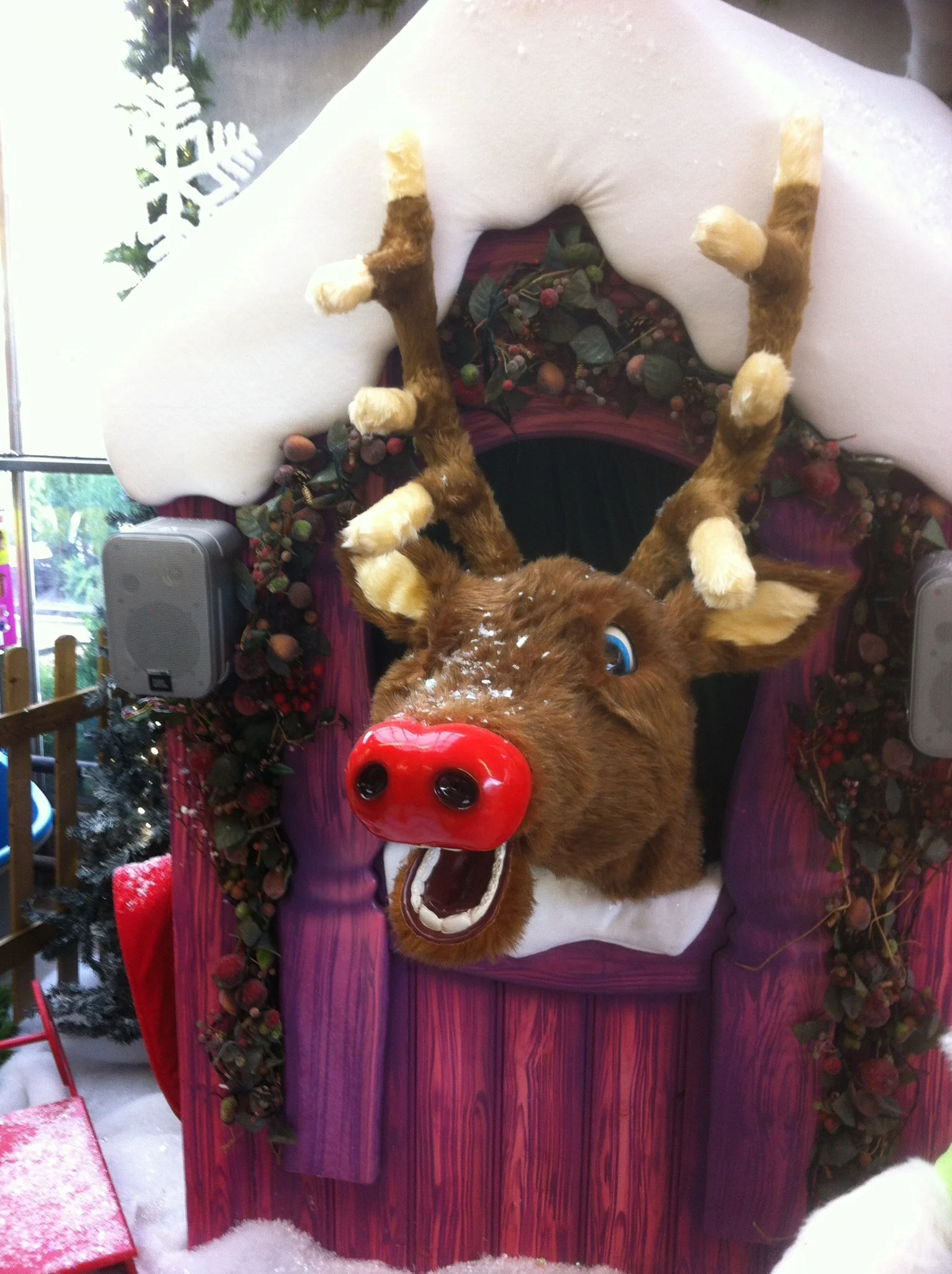 Copy of IMG_6335.JPG