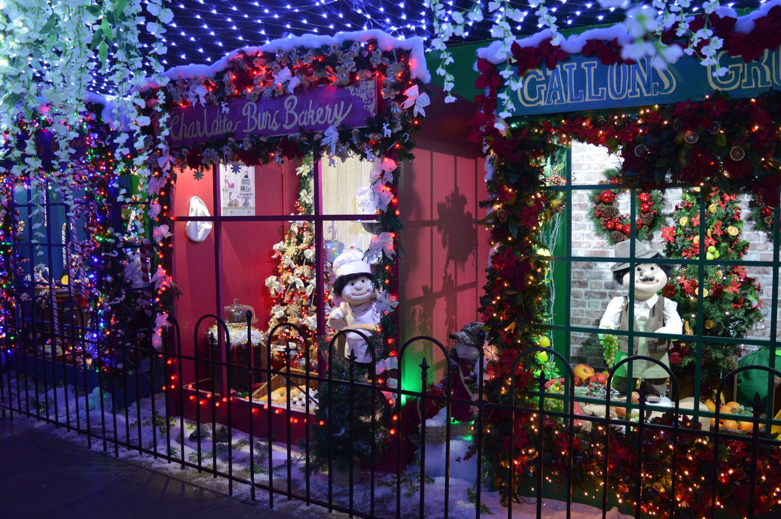 DSC_0650-min.JPG