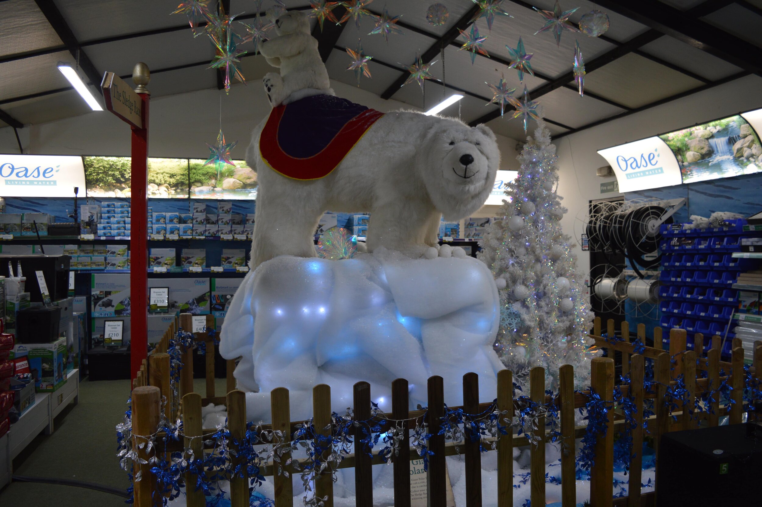 DSC_0708-min.JPG