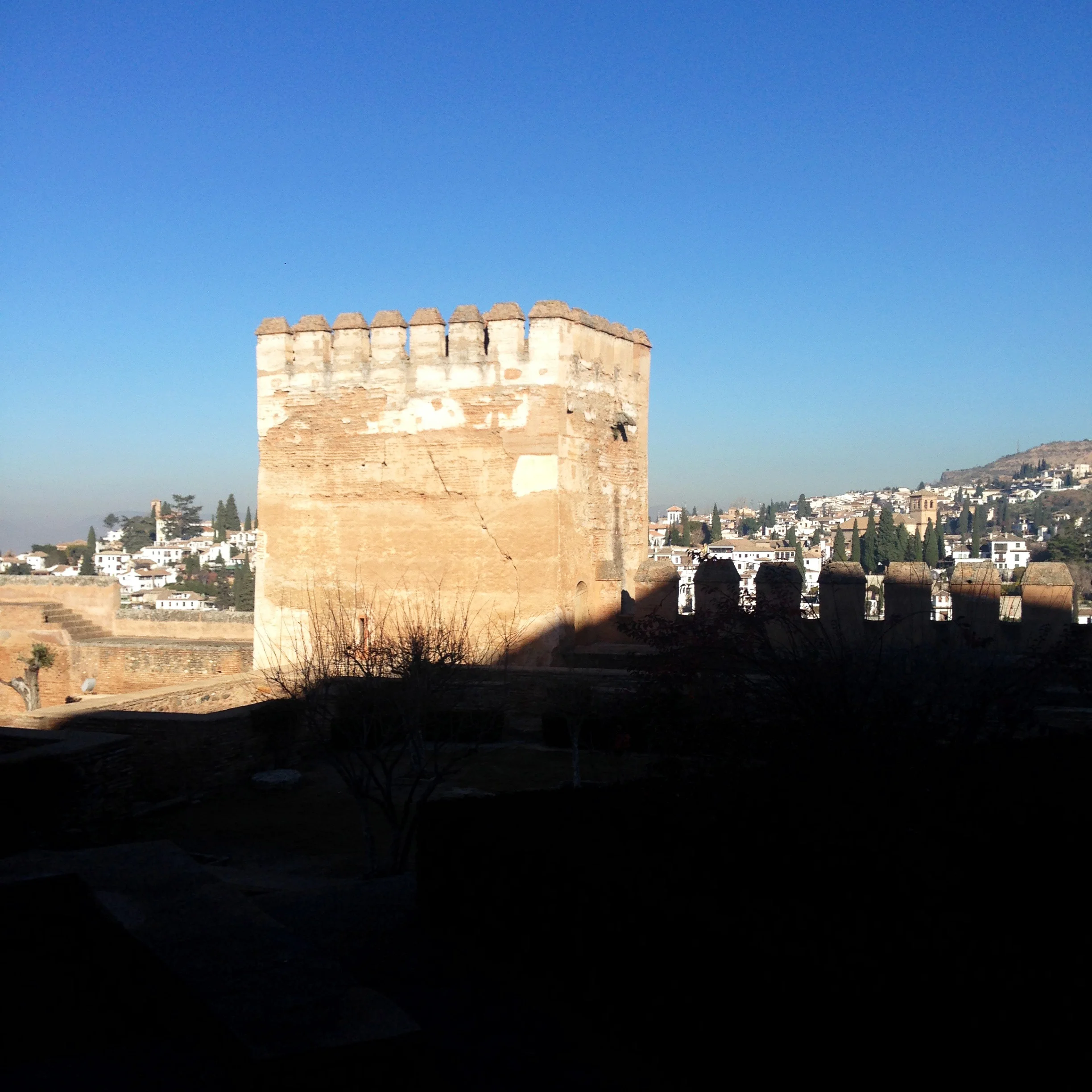 IMG_8720.jpg