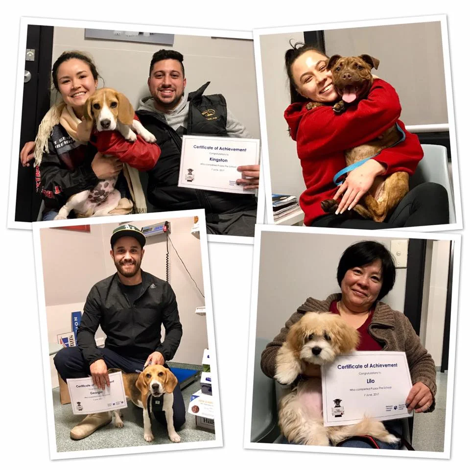 puppy school 07-06-17.jpg