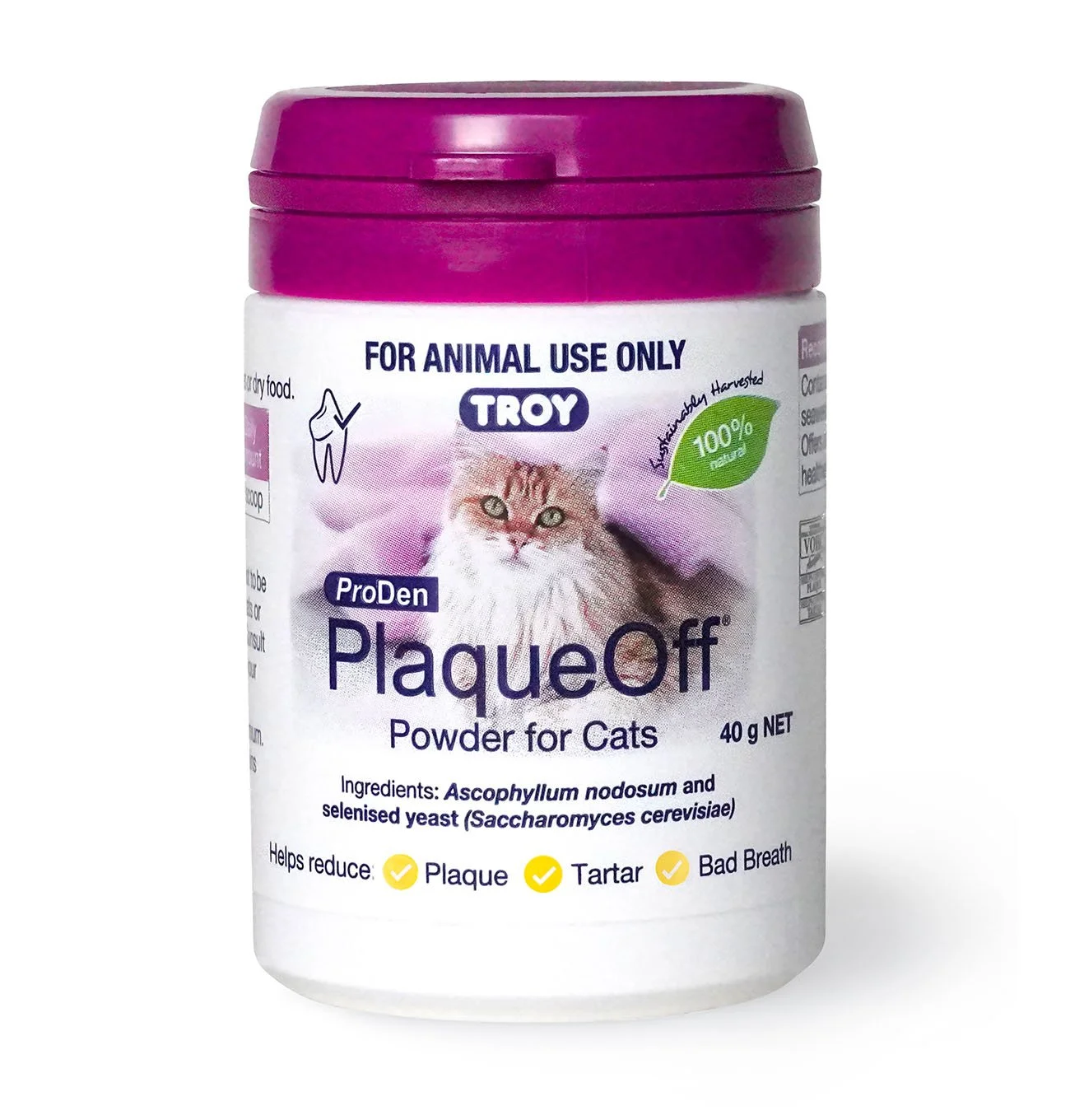 PlaqueOff-Powder_Cat.jpg