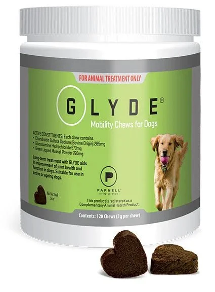 AU-Glyde-Chews-120ct-Canister_1024x1024.jpg