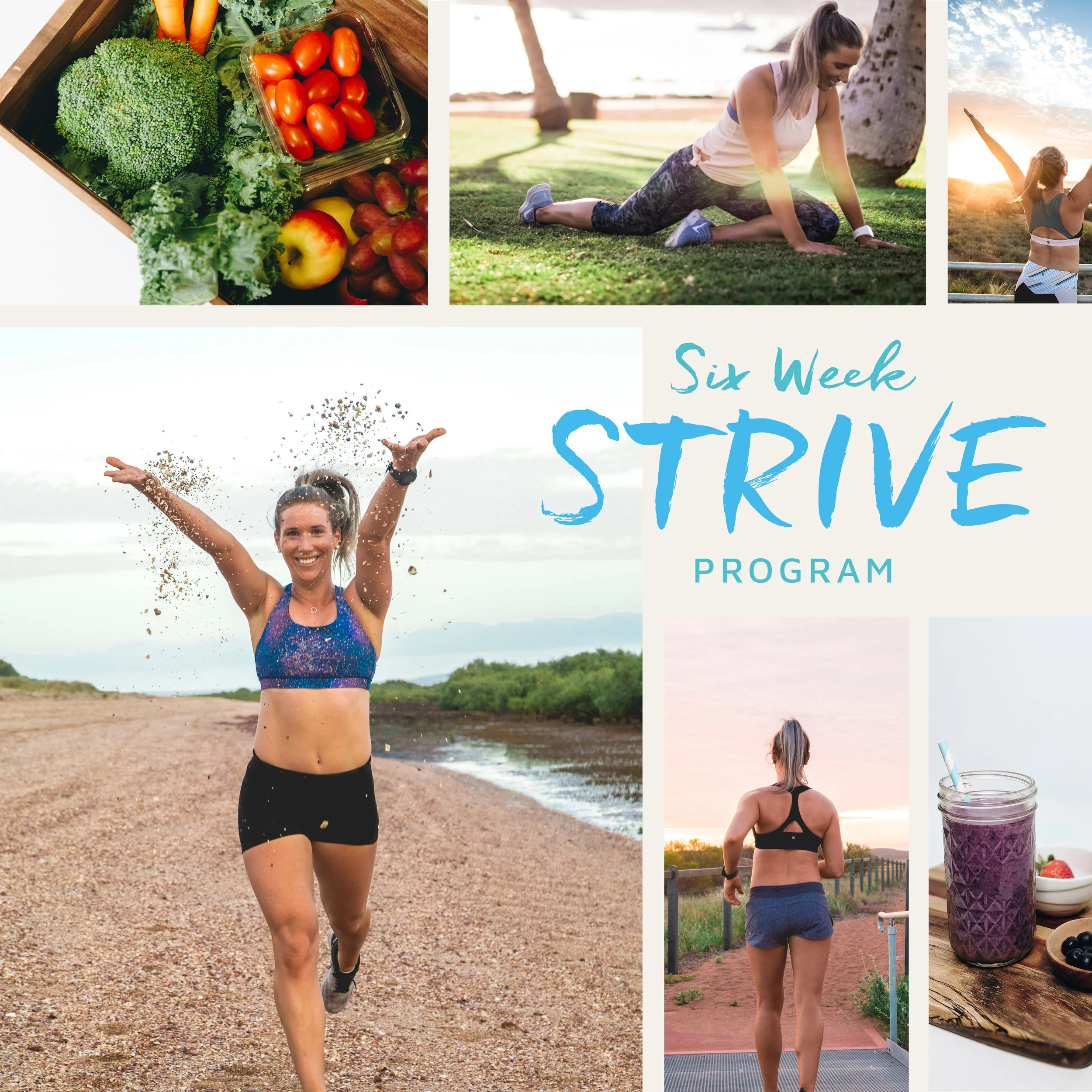 Strive Collage.jpg