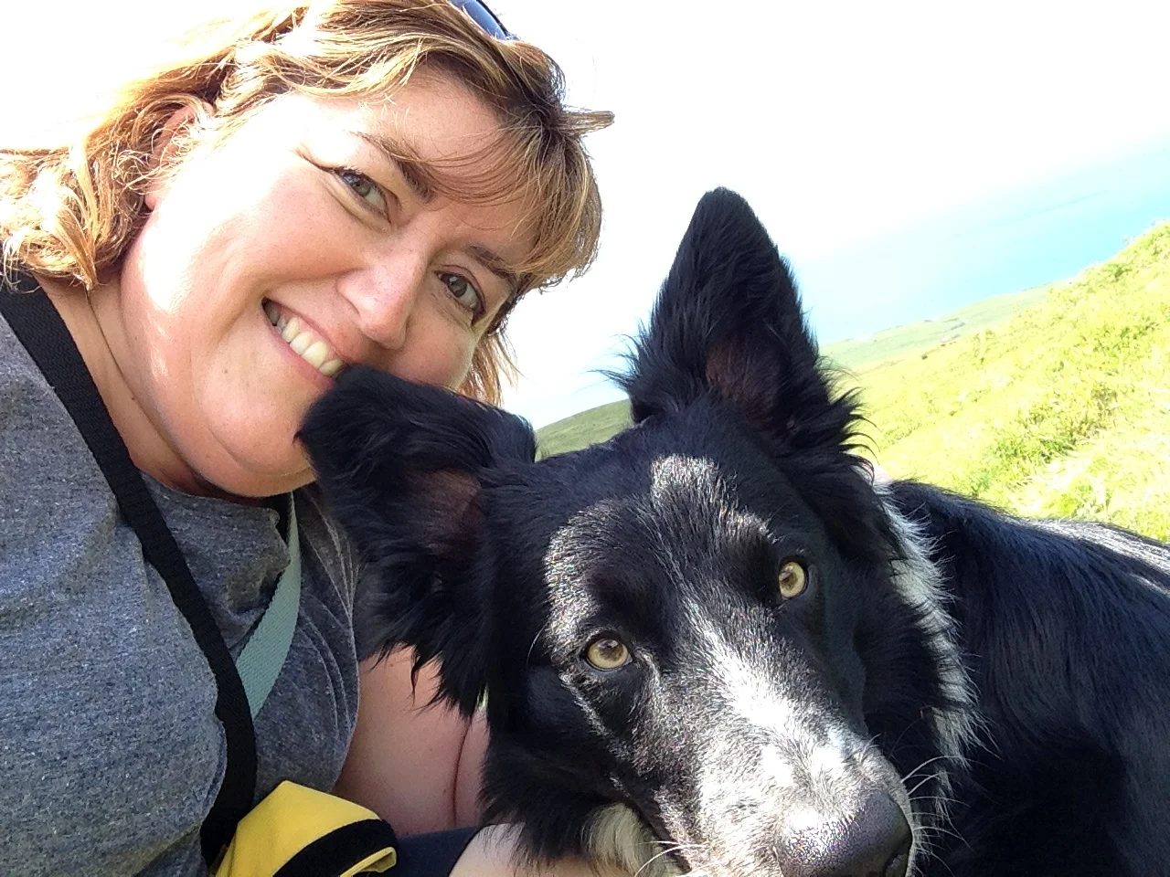 2015-07-15 12.11.10.jpg