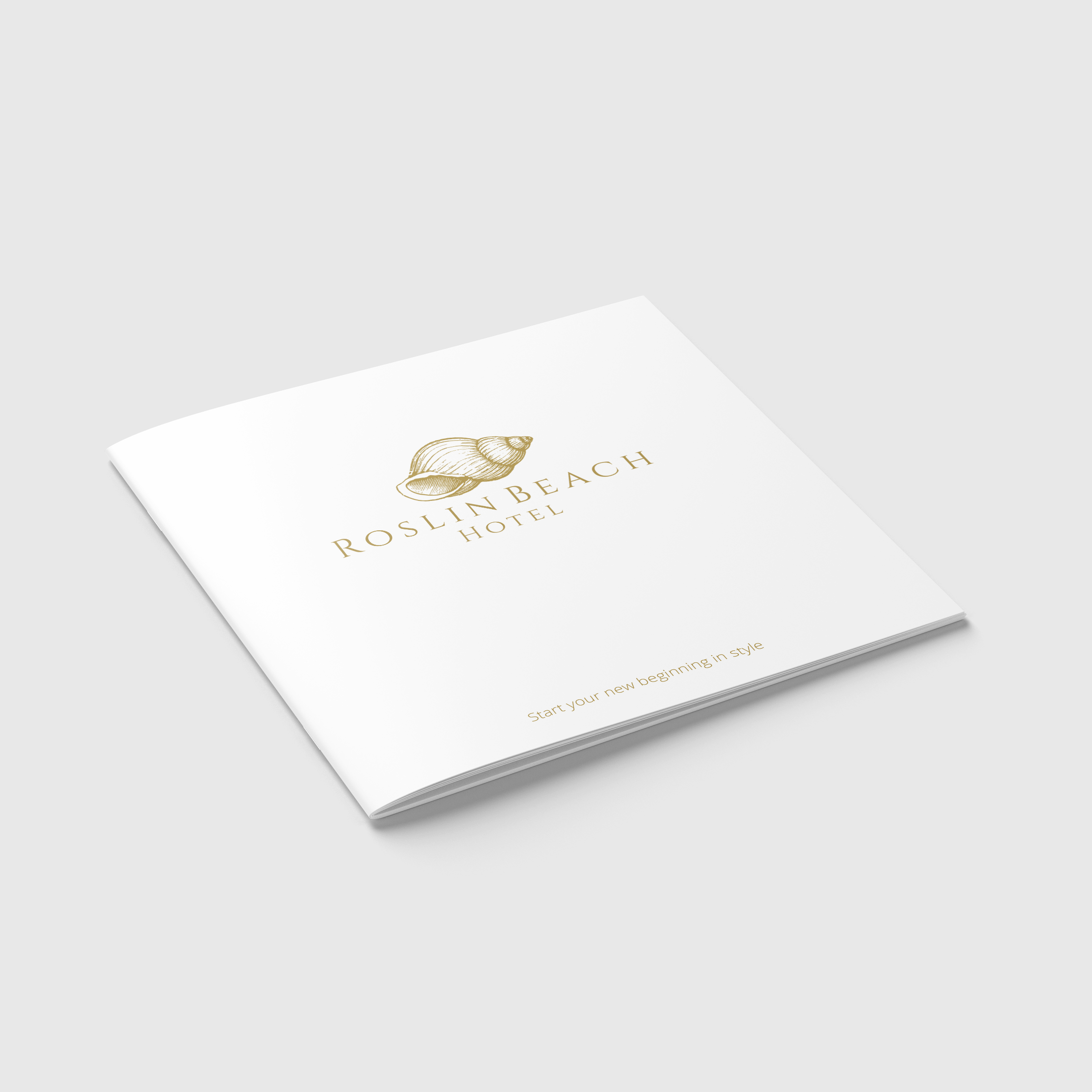 square brochure with faint background.png