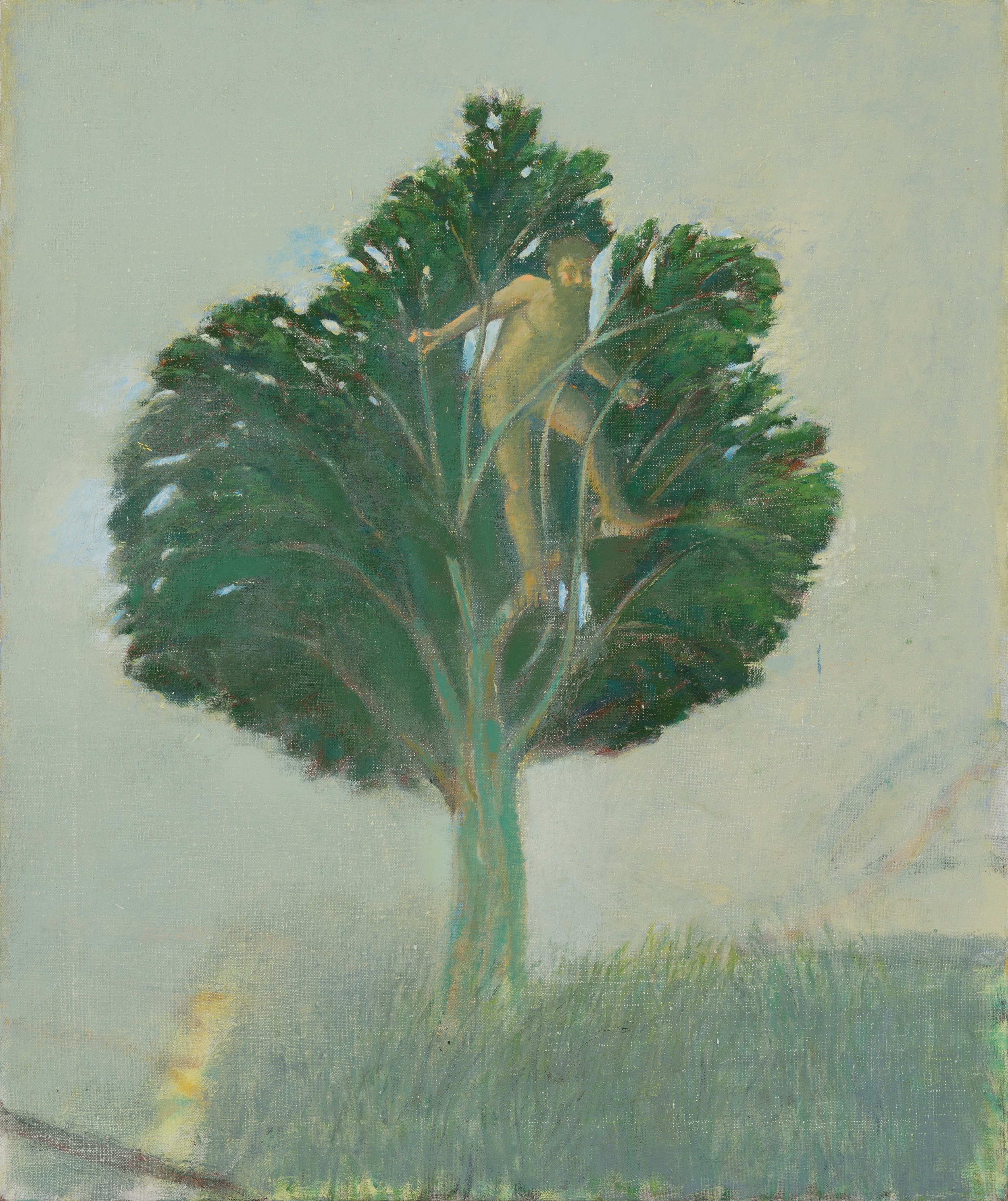 Sweeney, 2014, oil on canvas, 24"x20"