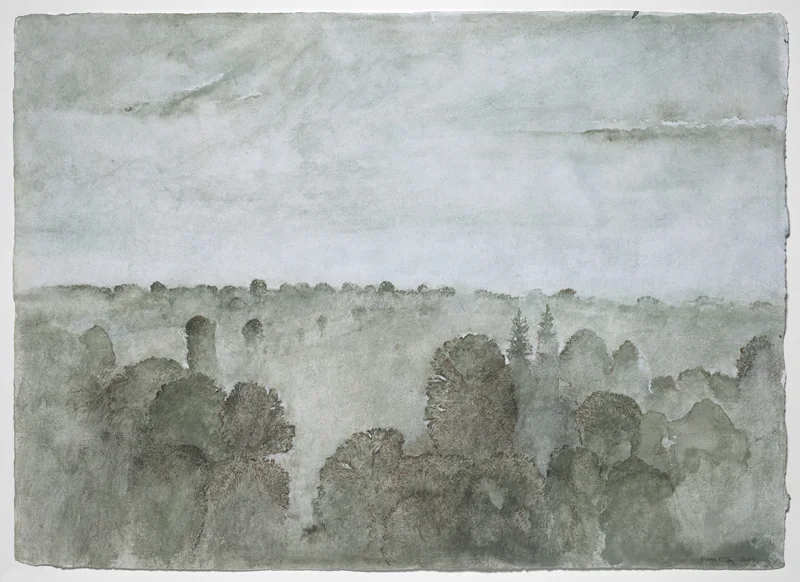 Mist: mixed media on paper, 21"x29", 2007