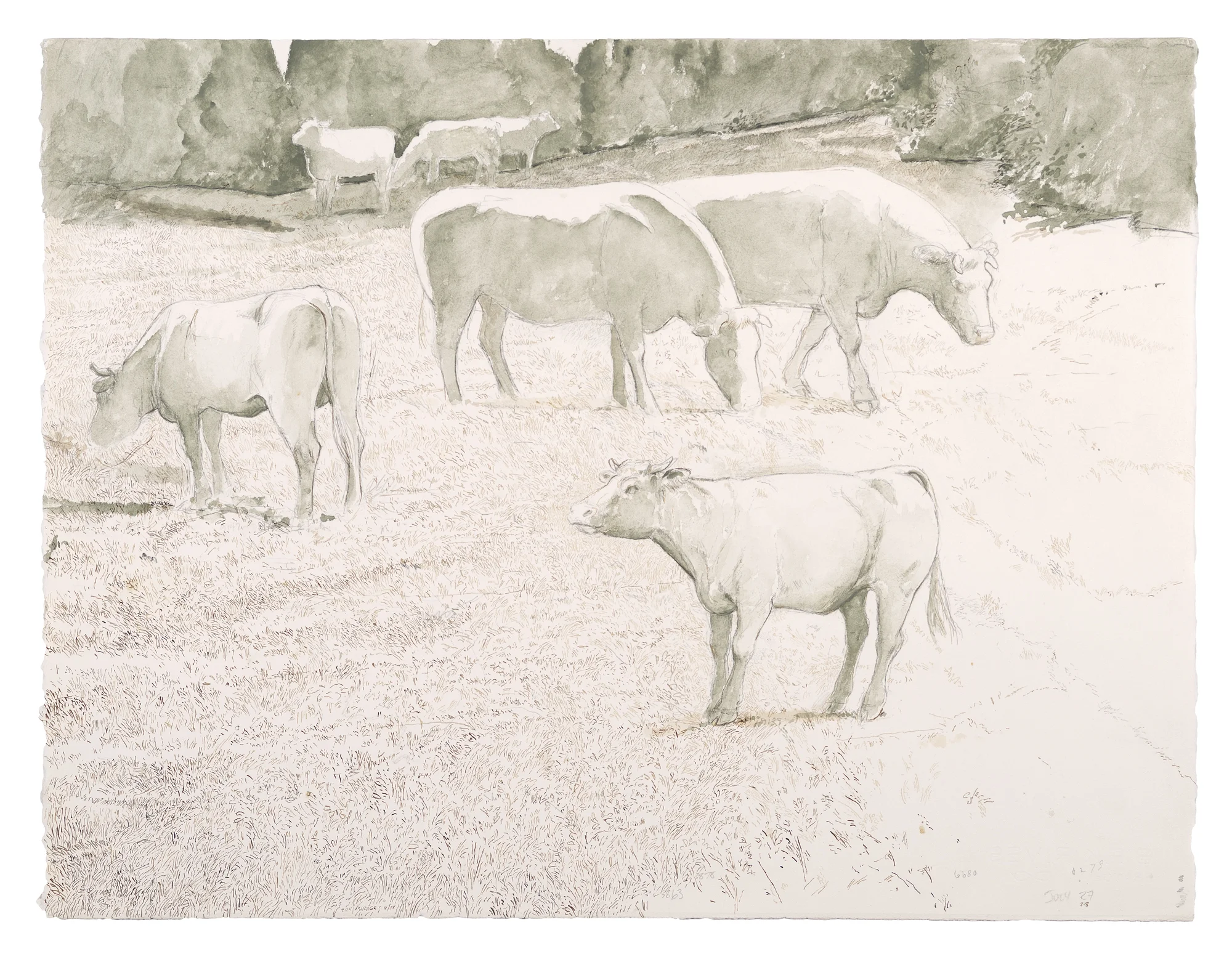 Pasture: ink, mixed media on paper, 20"x26", 2006