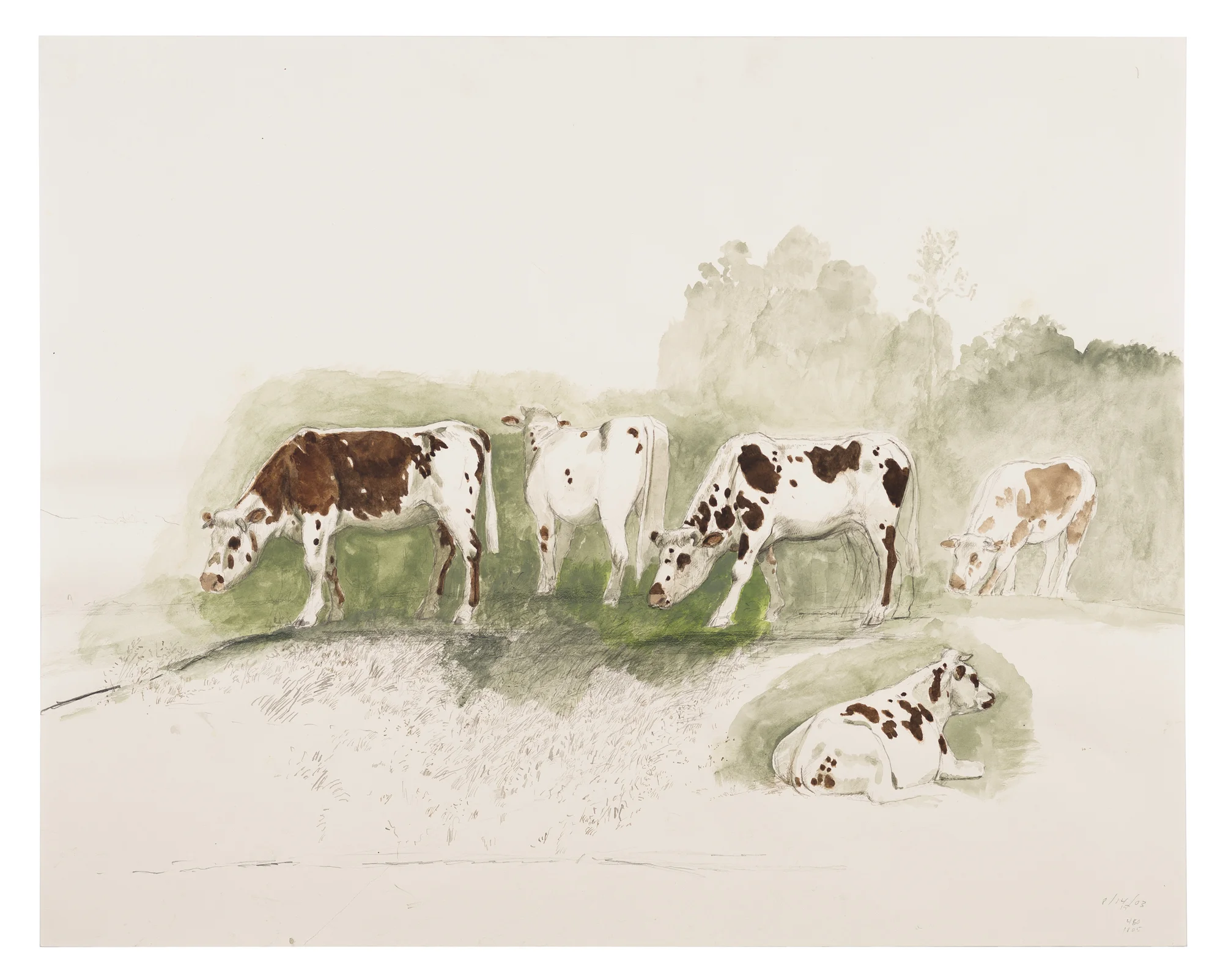 Normande Cows: watercolor, 19"x24", 2006